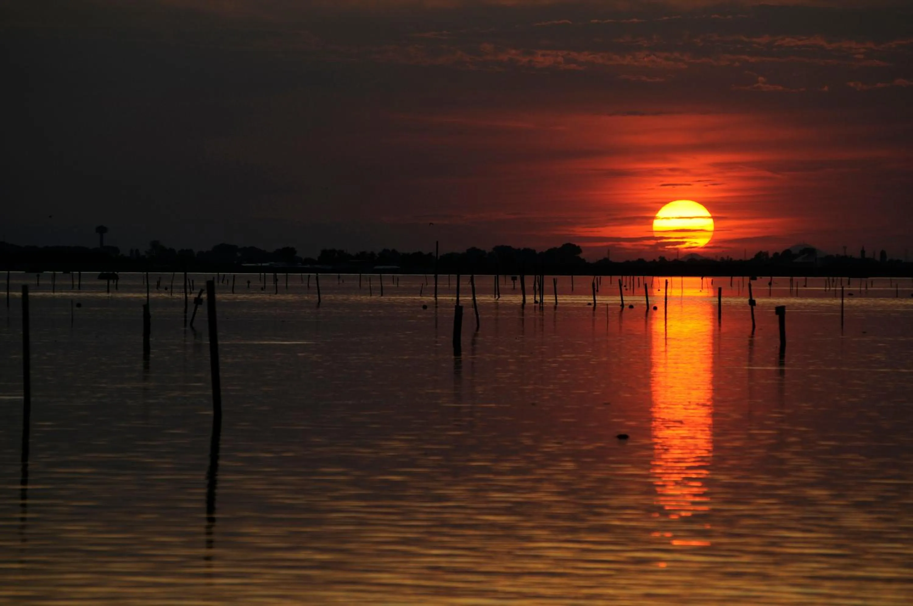 Natural landscape in Isola di Albarella Hotel Capo Nord