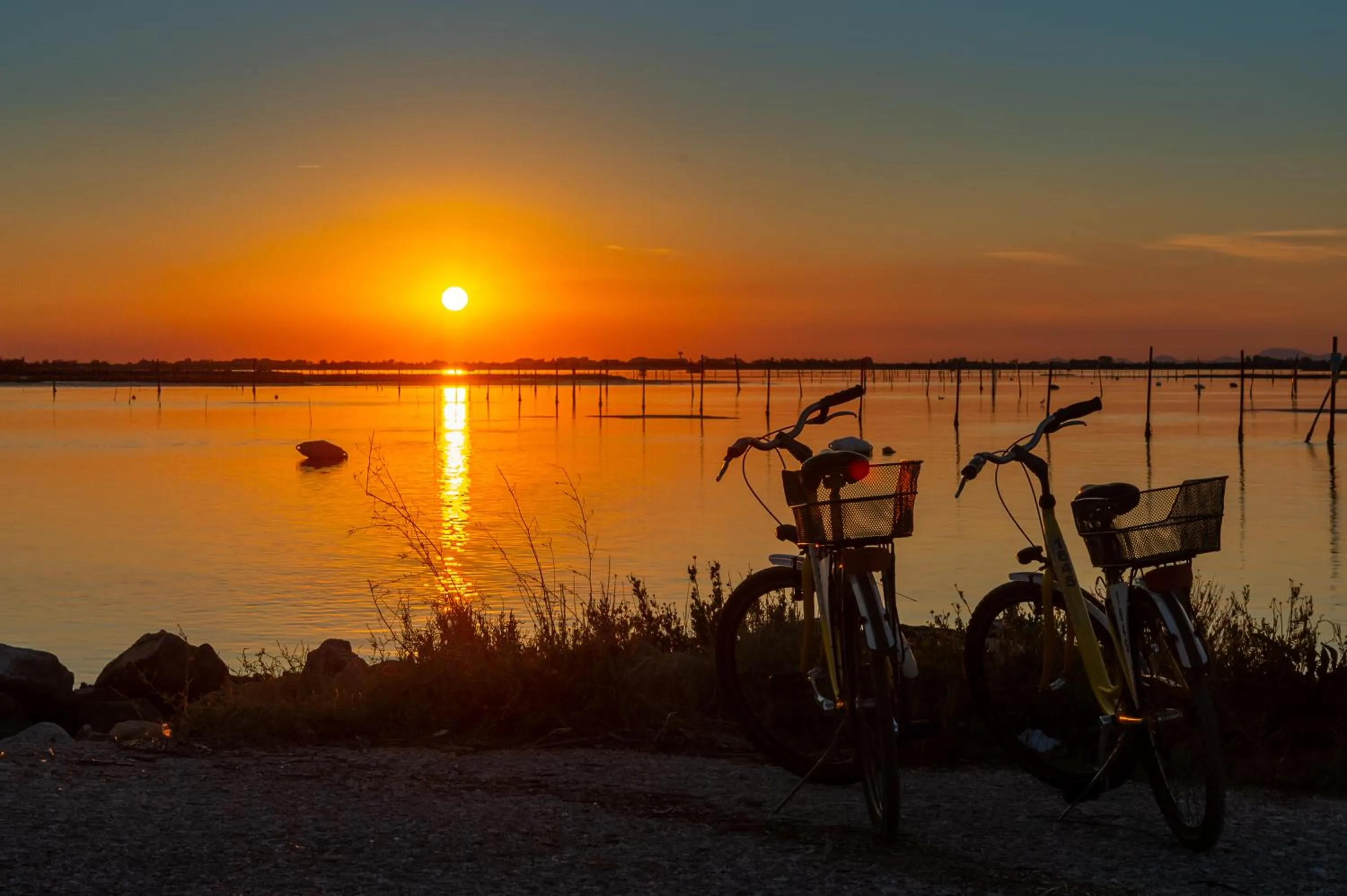 Cycling in Isola di Albarella Hotel Capo Nord