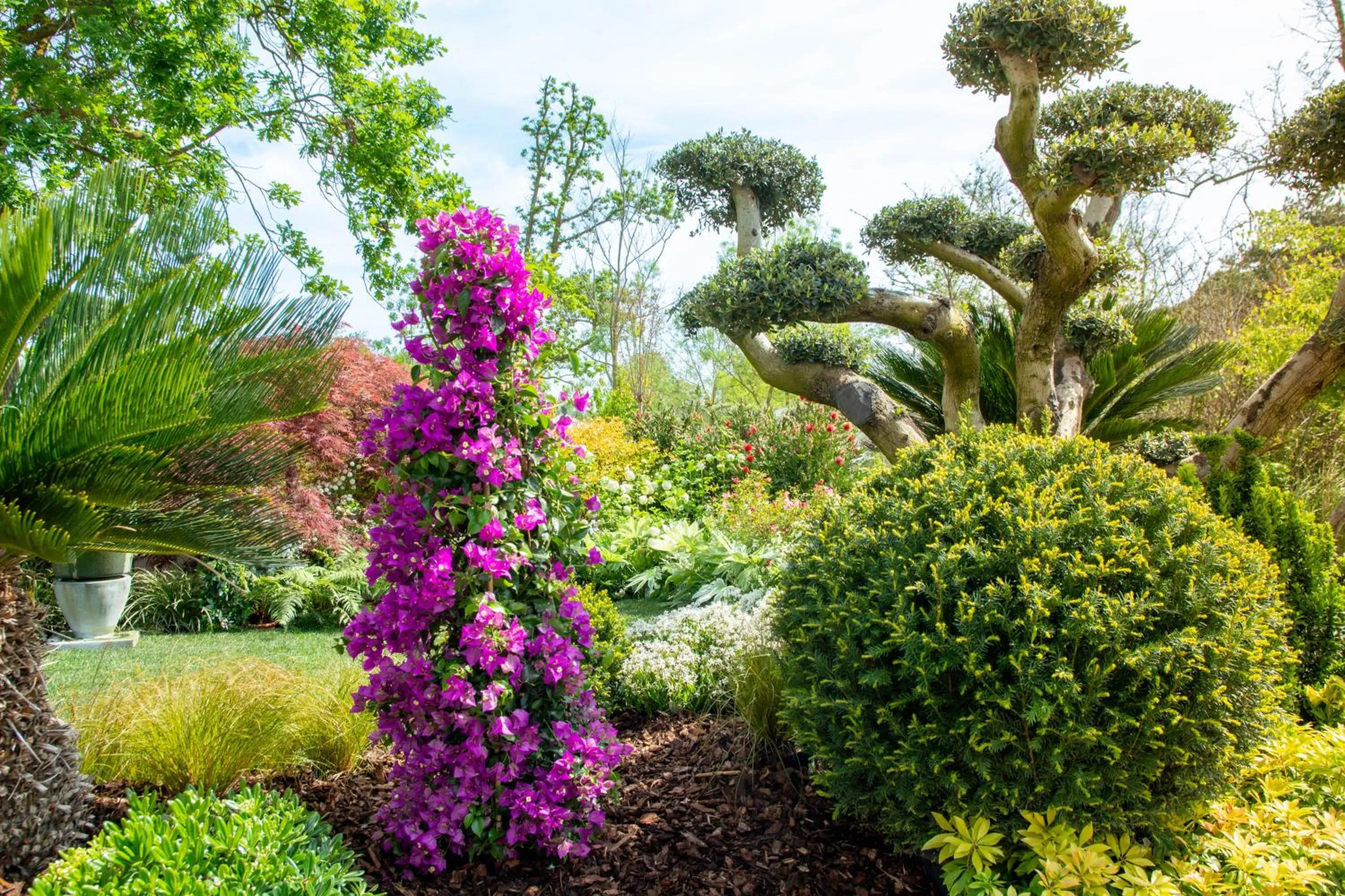 Garden in Isola di Albarella Hotel Capo Nord