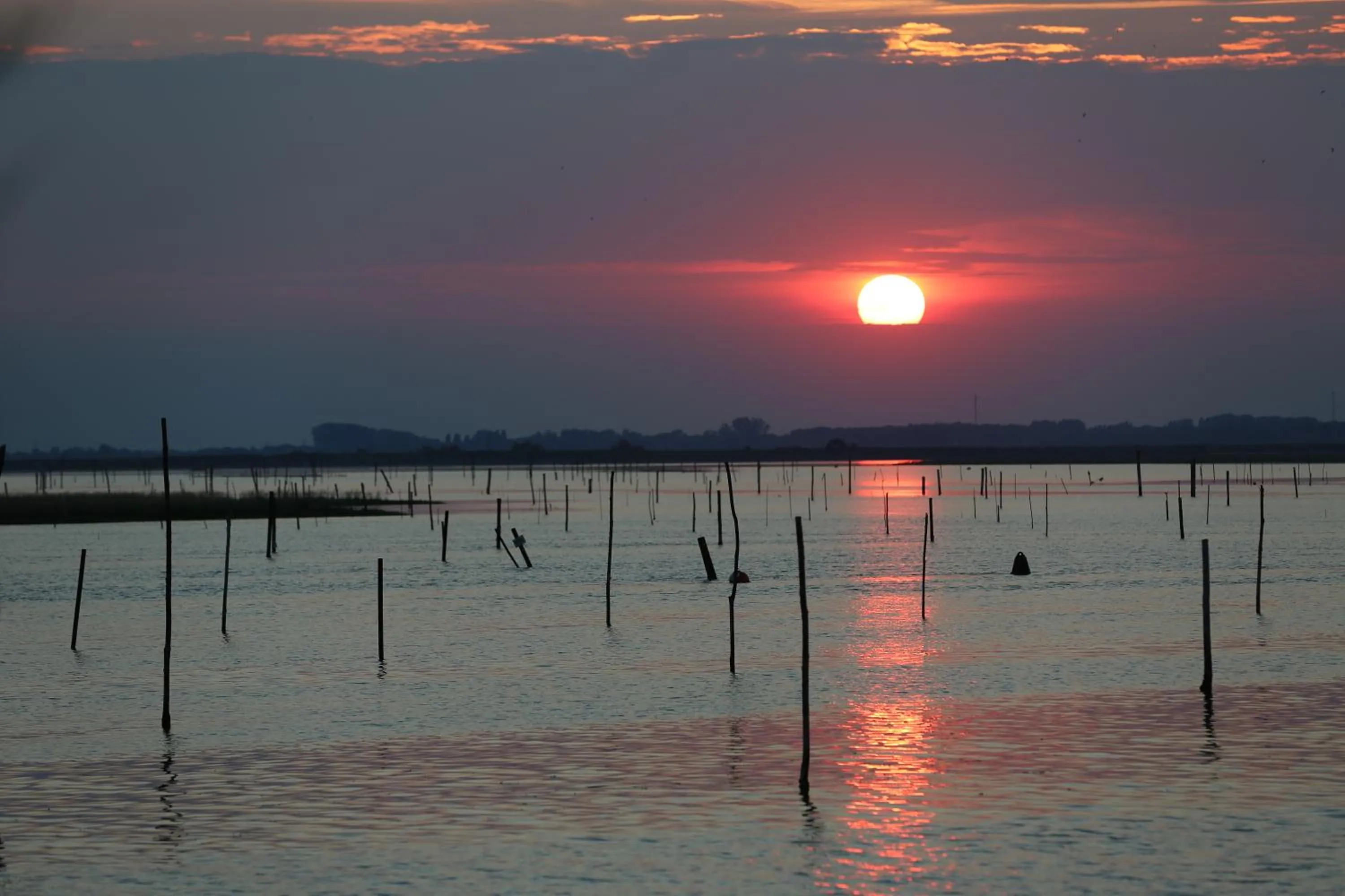 Natural landscape in Isola di Albarella Hotel Capo Nord
