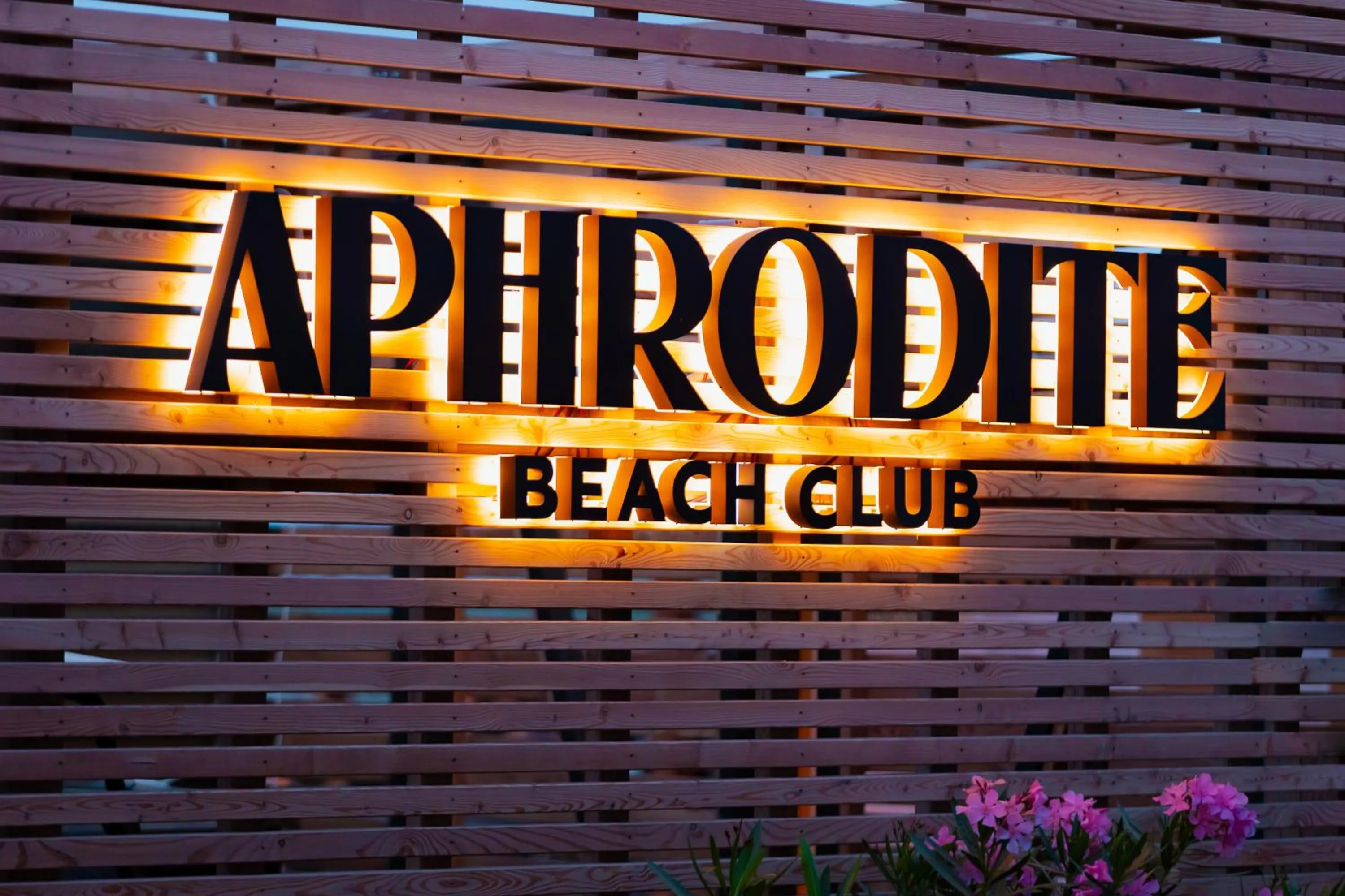 Restaurant/places to eat in Isola di Albarella Hotel Capo Nord