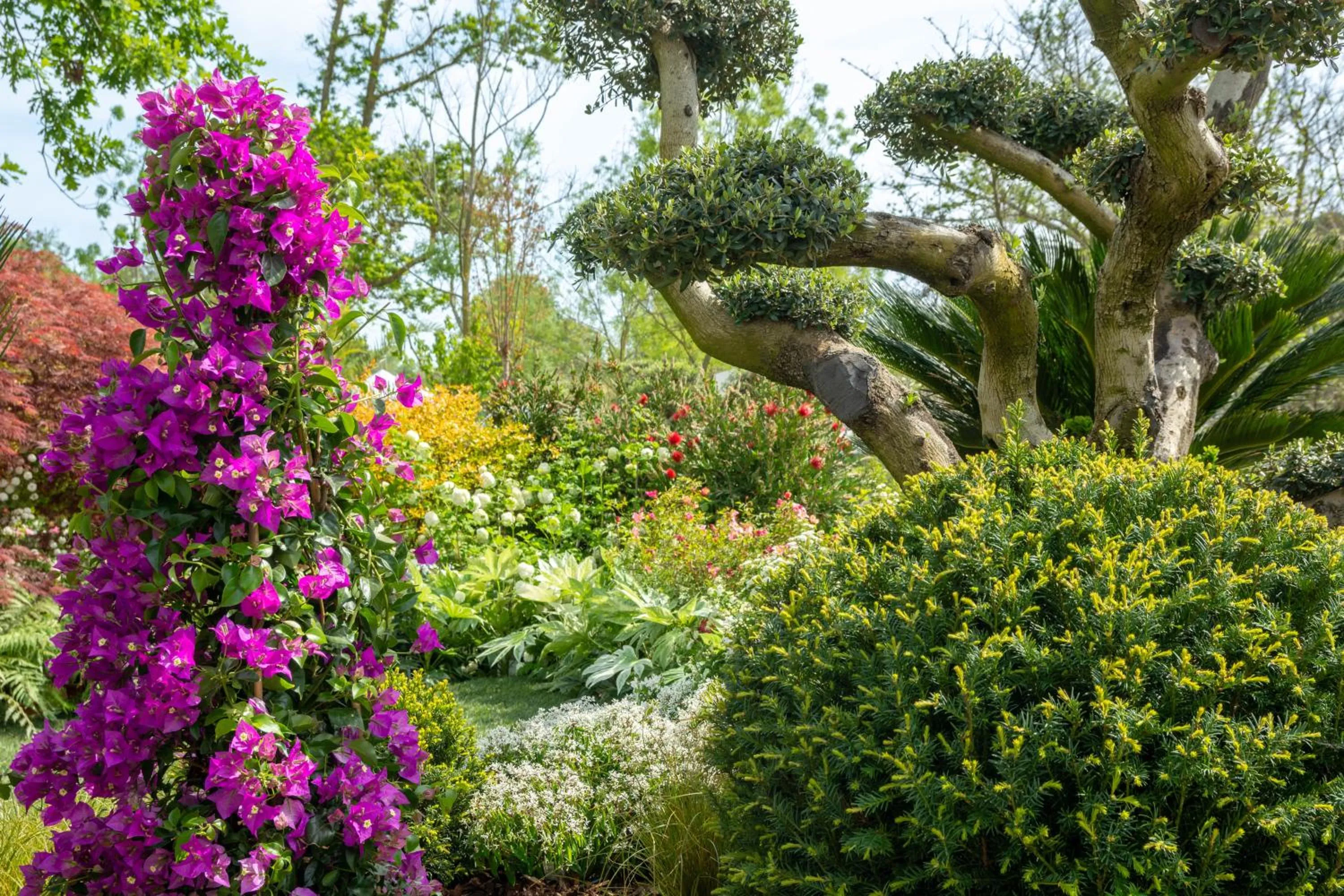 Garden in Isola di Albarella Hotel Capo Nord