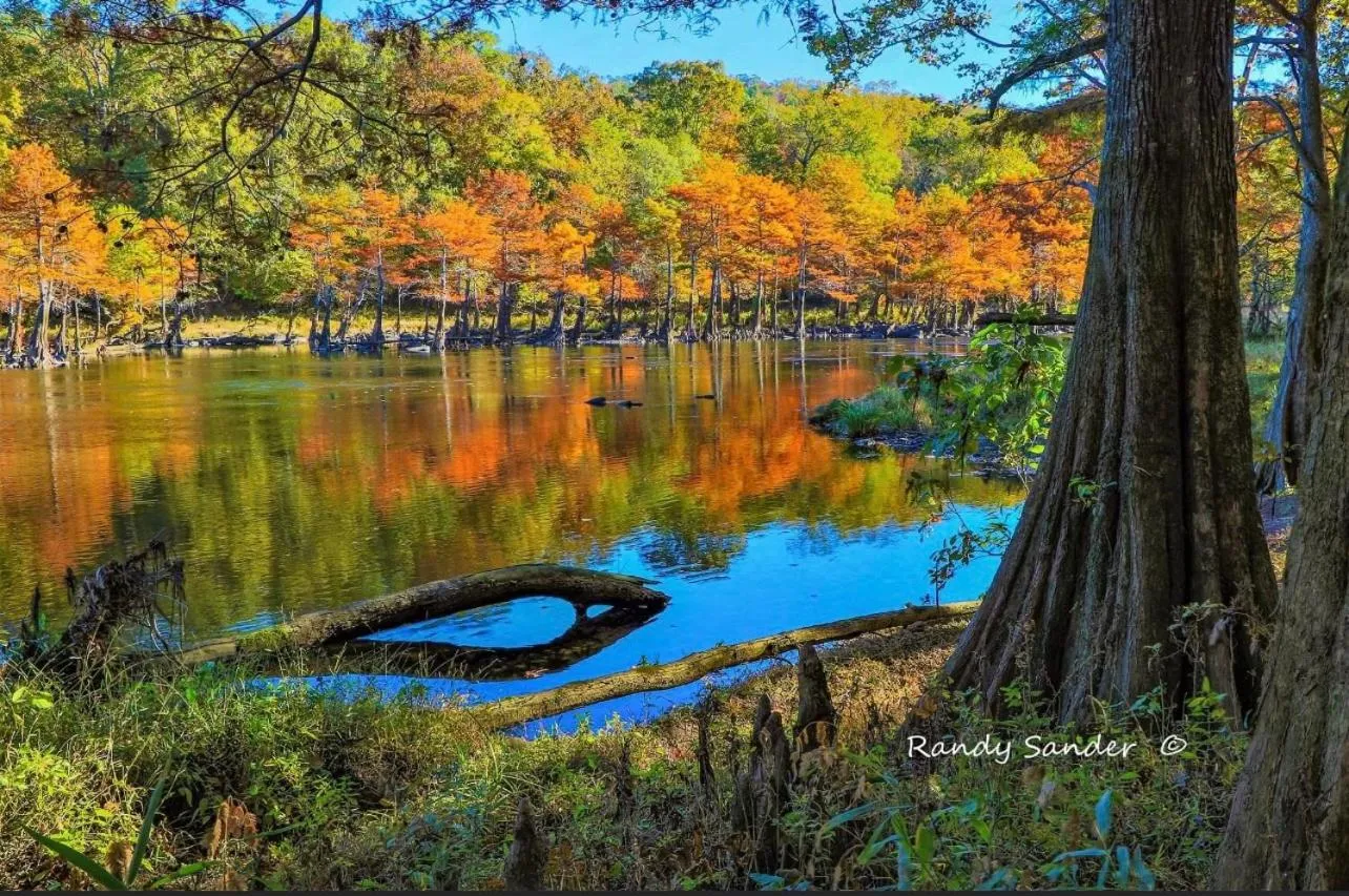 Lake view in Knotty and Nice Luxury Cabin