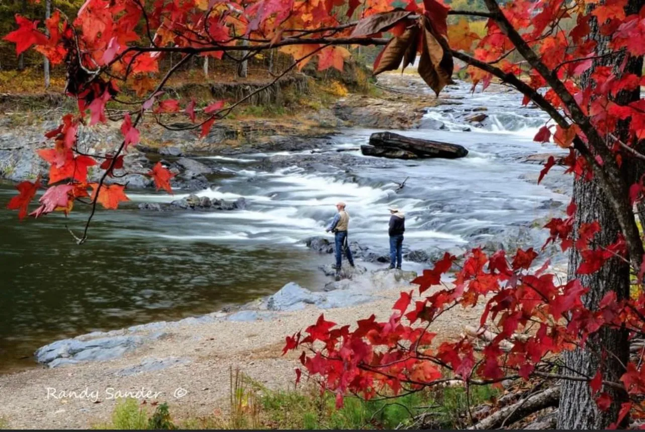 Natural landscape in Knotty and Nice Luxury Cabin