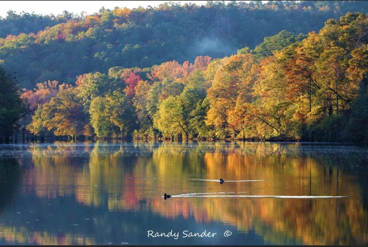 Lake view in Knotty and Nice Luxury Cabin