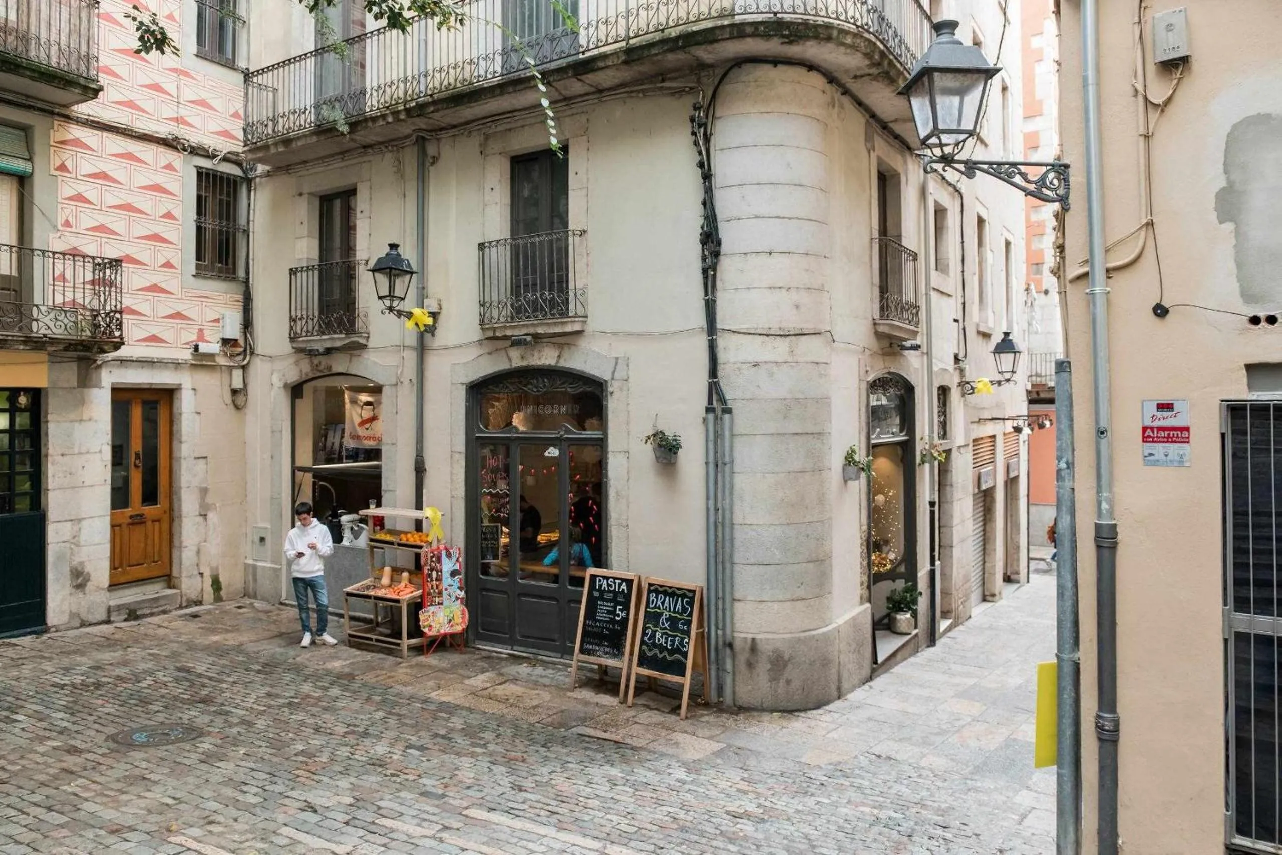 Revitalized Apartment in Historical Building