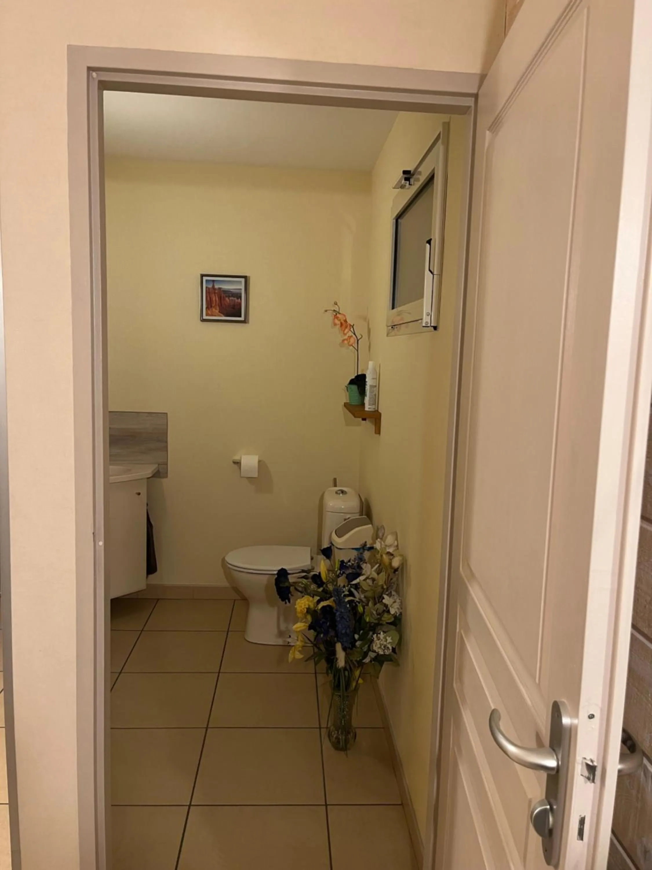 Toilet in Chambres d hôtes Villa Anani Cosson alex