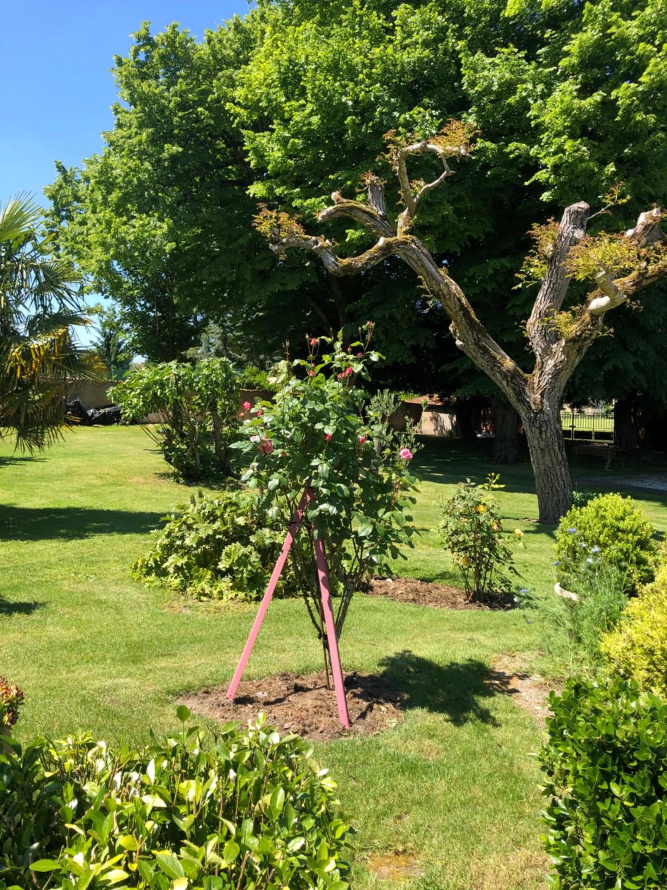 Chambres d hôtes Villa Anani Cosson alex