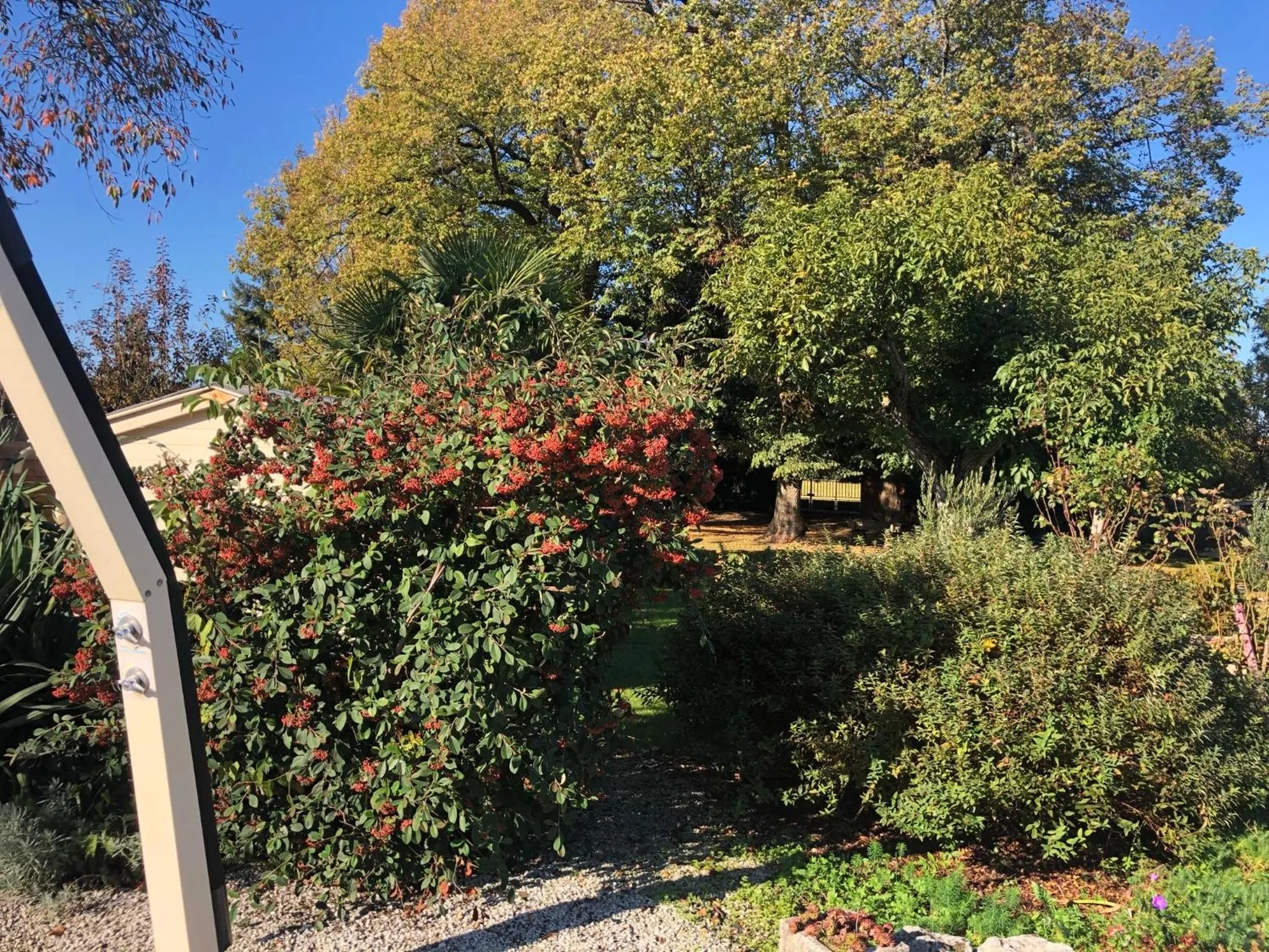 Garden view in Chambres d hôtes Villa Anani Cosson alex