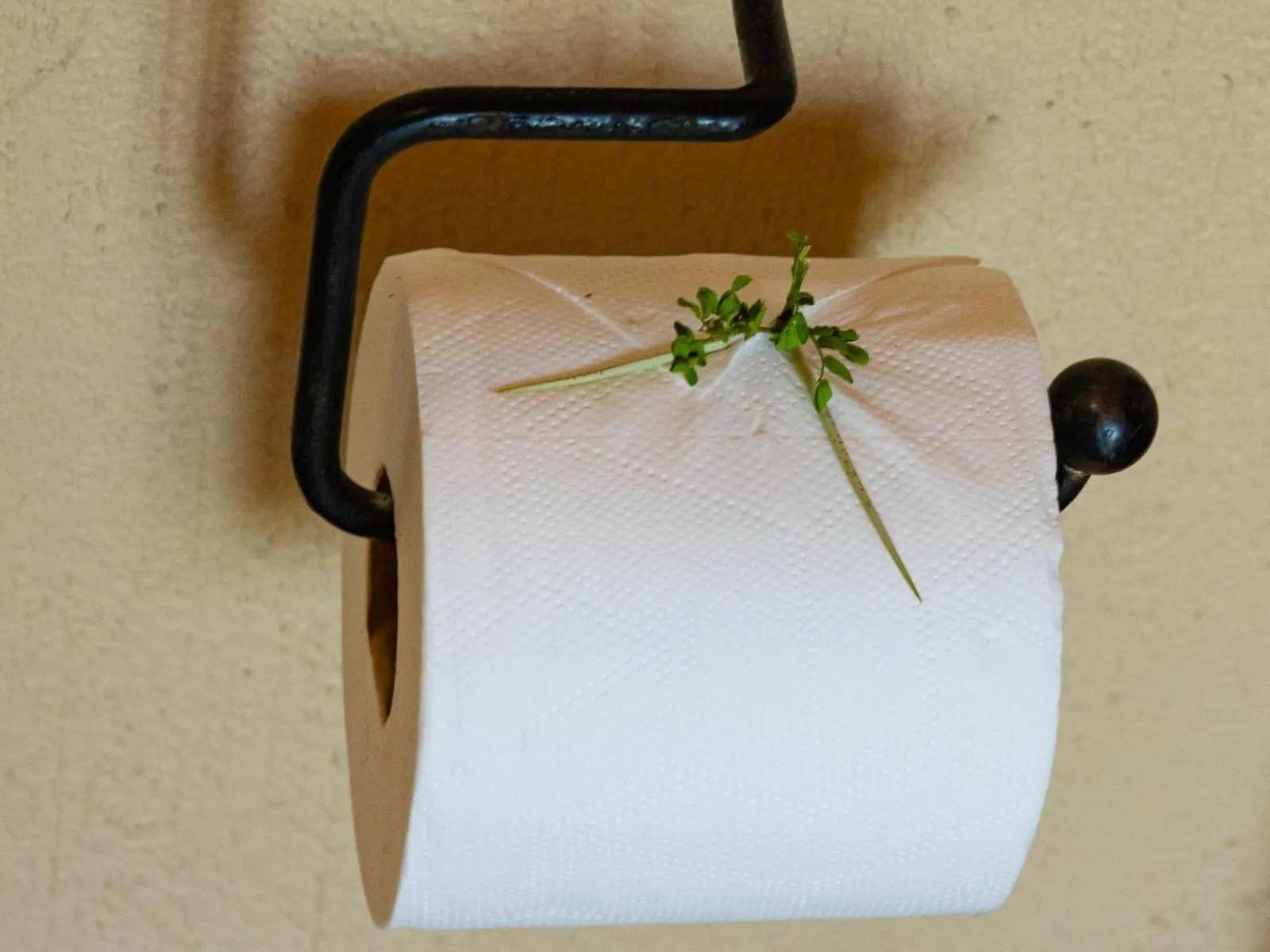 Bathroom in Impala Cottage