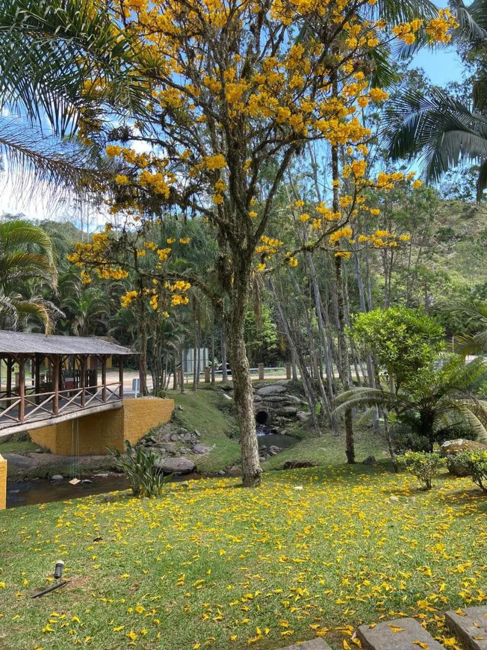 Pousada Arraial do Ouro