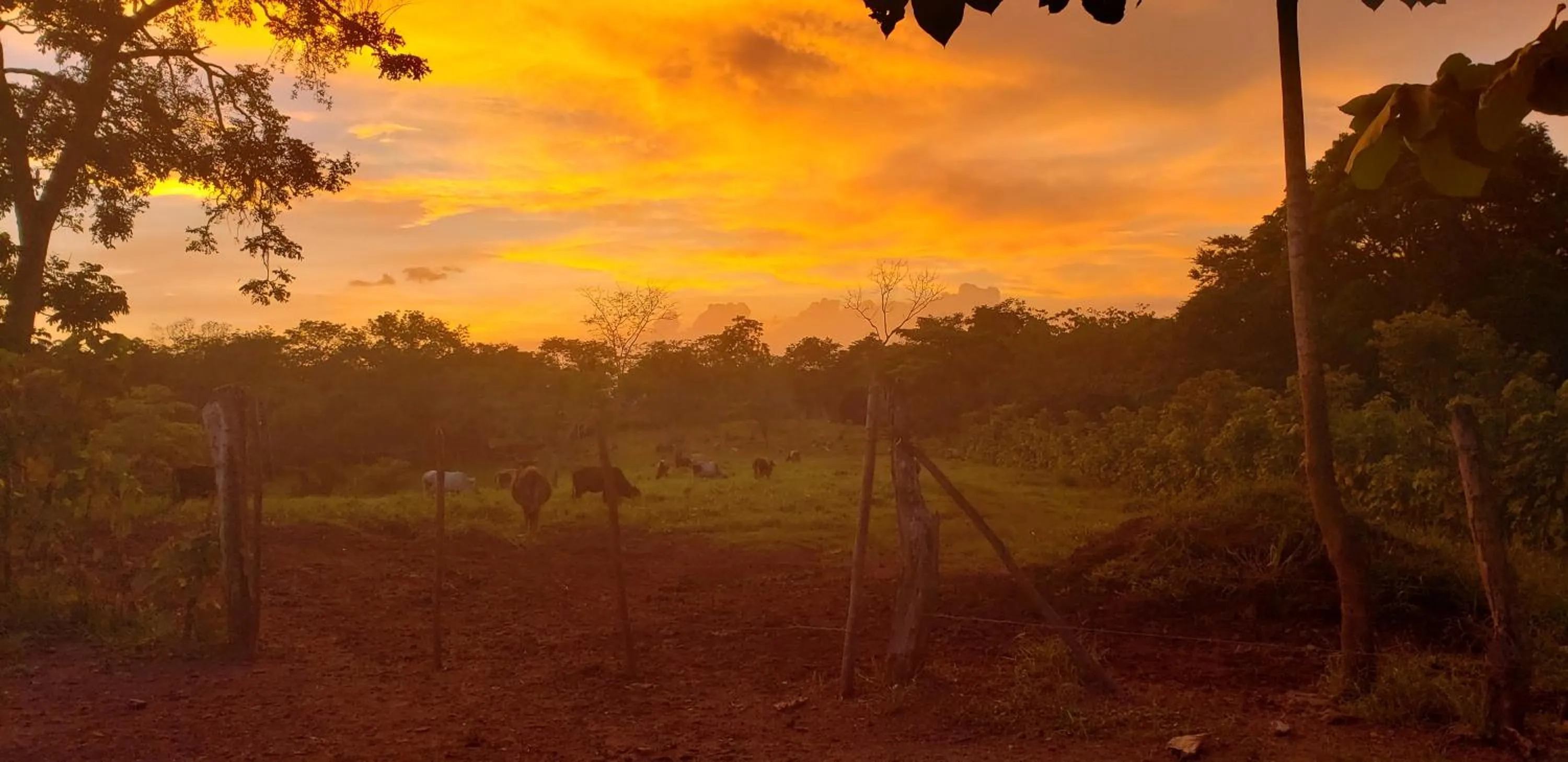 Sunset in Manala Hotel