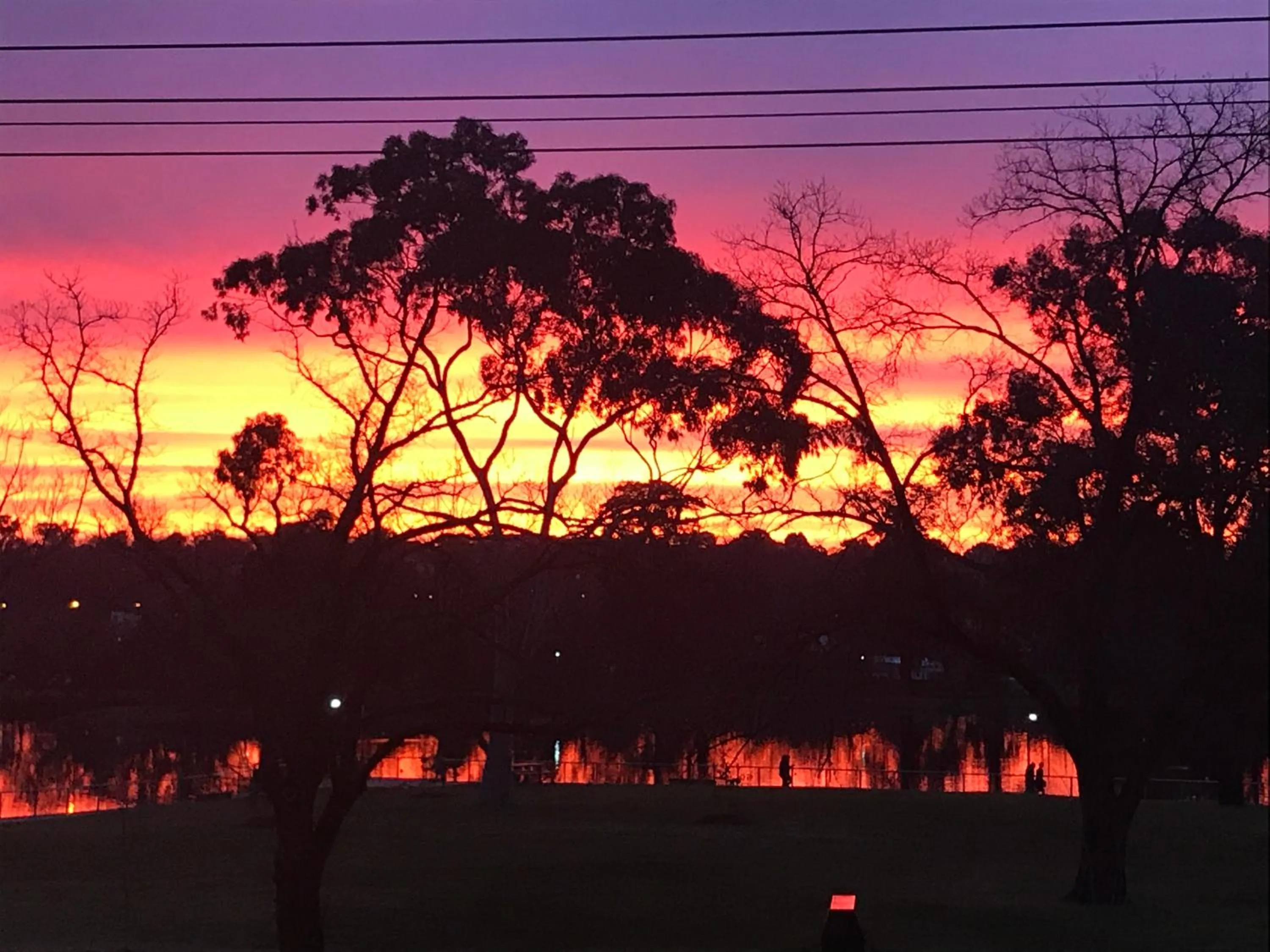 Lake view in Tea House Motor Inn