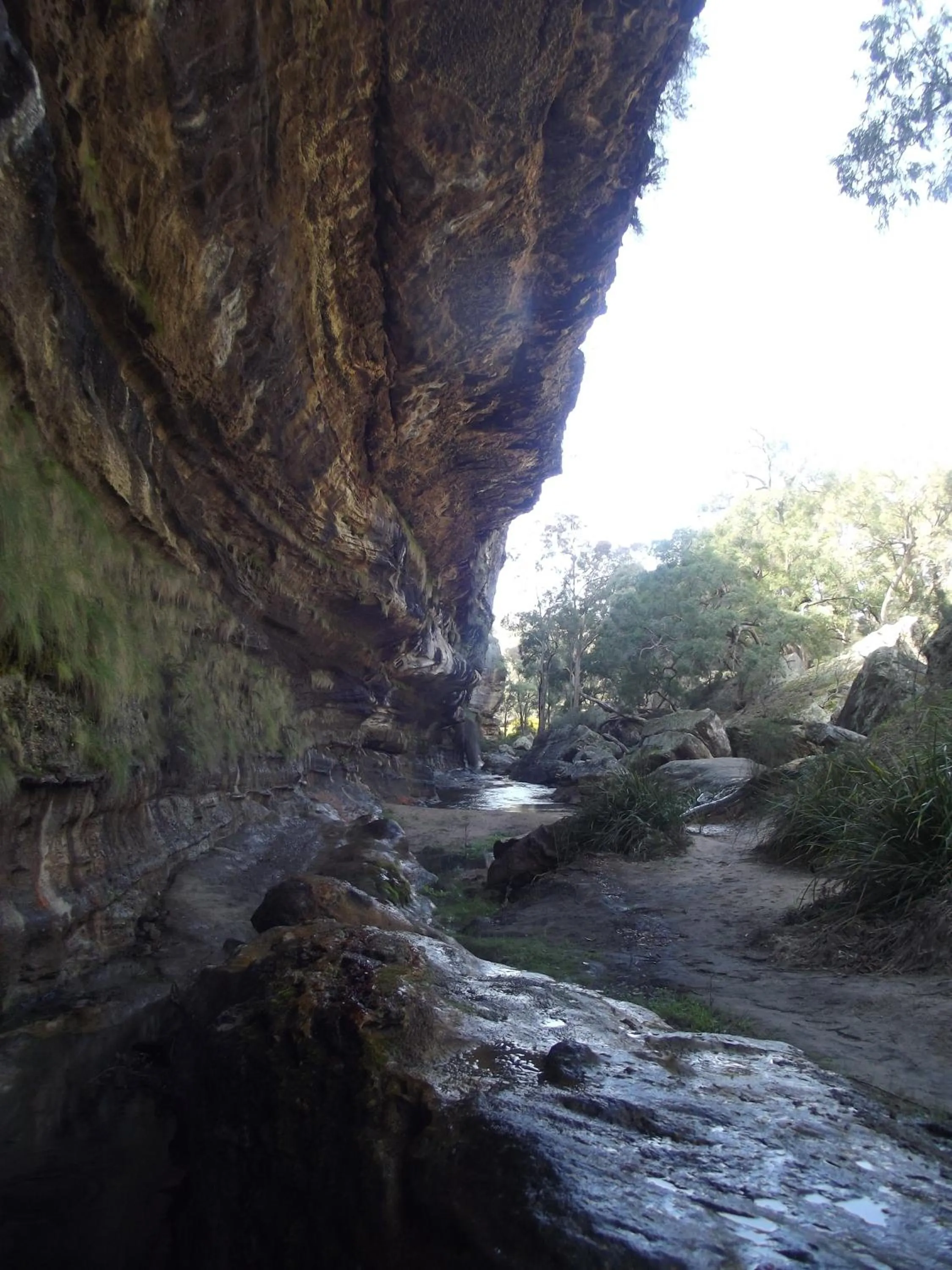 Hiking in Winning Post Motor Inn