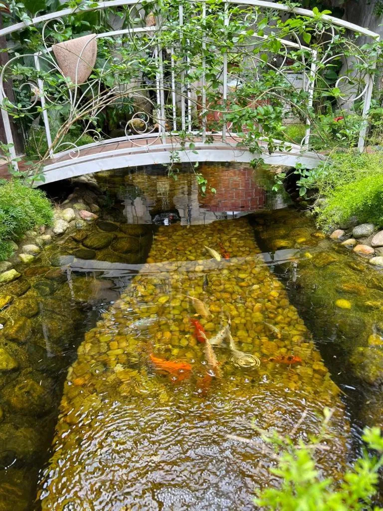 Garden in Villa Lulu Geribá