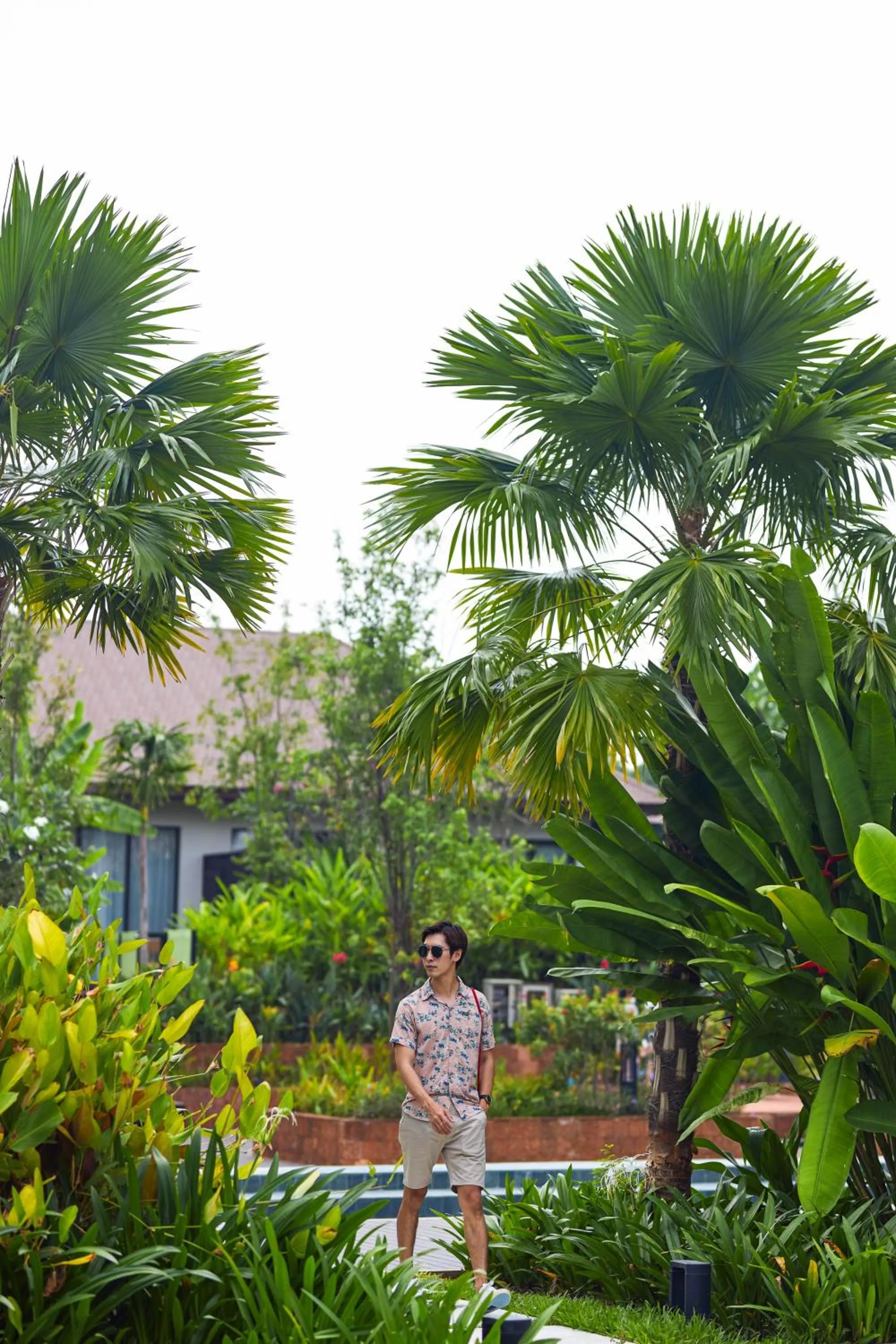 Garden in Angkor Green Gardens by Dara