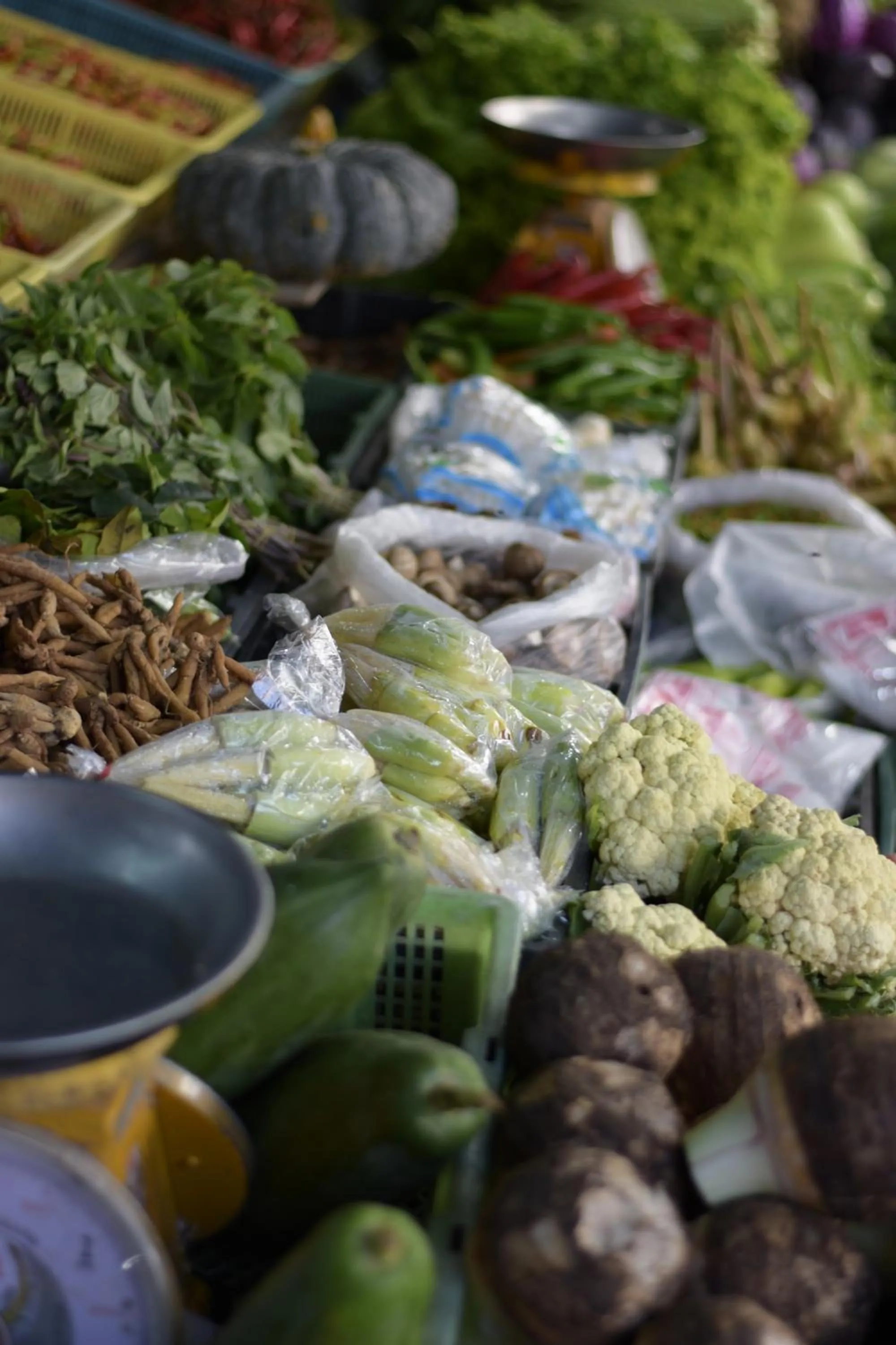 Activities in Thaweesuk Heritage Homestay