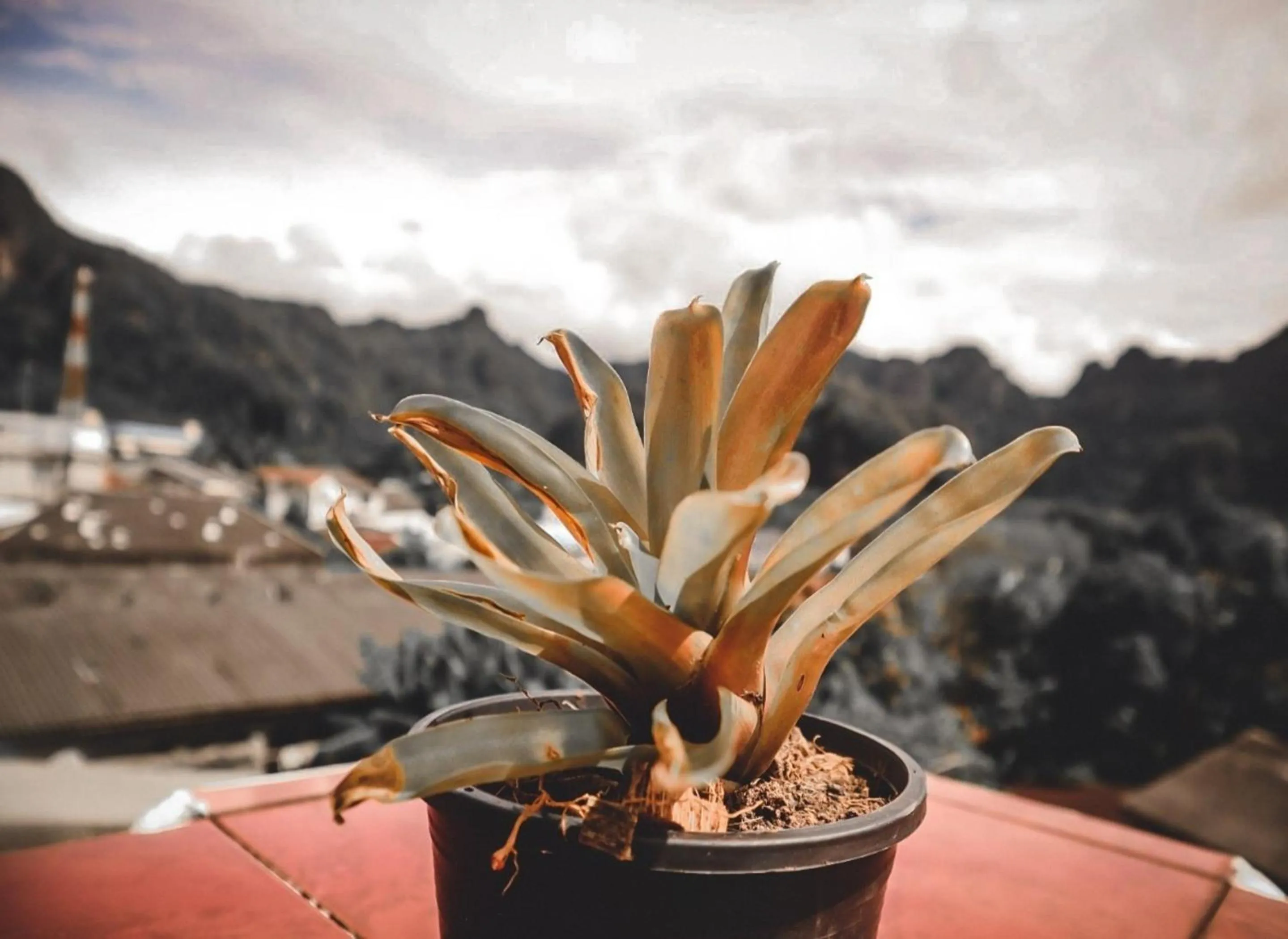 Other in Thaweesuk Heritage Homestay