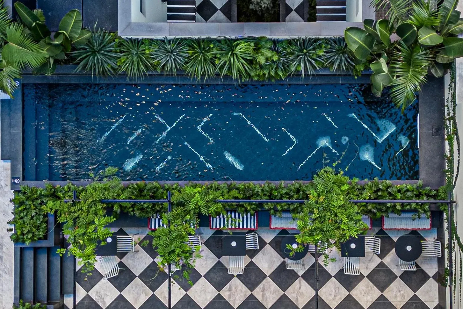 Swimming pool in The Editory Boulevard Aliados Hotel - Preferred Hotels