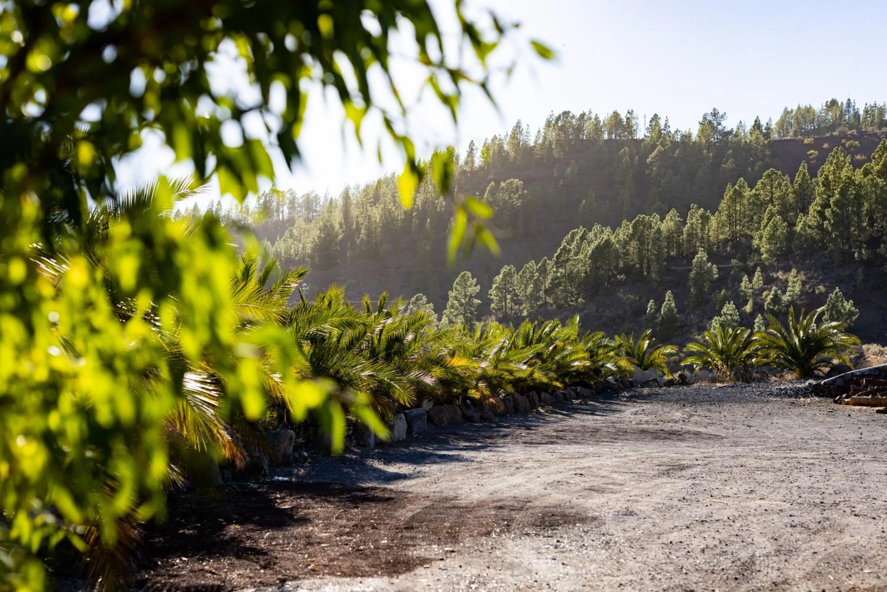 Natural landscape in Hotel Alta Montaña