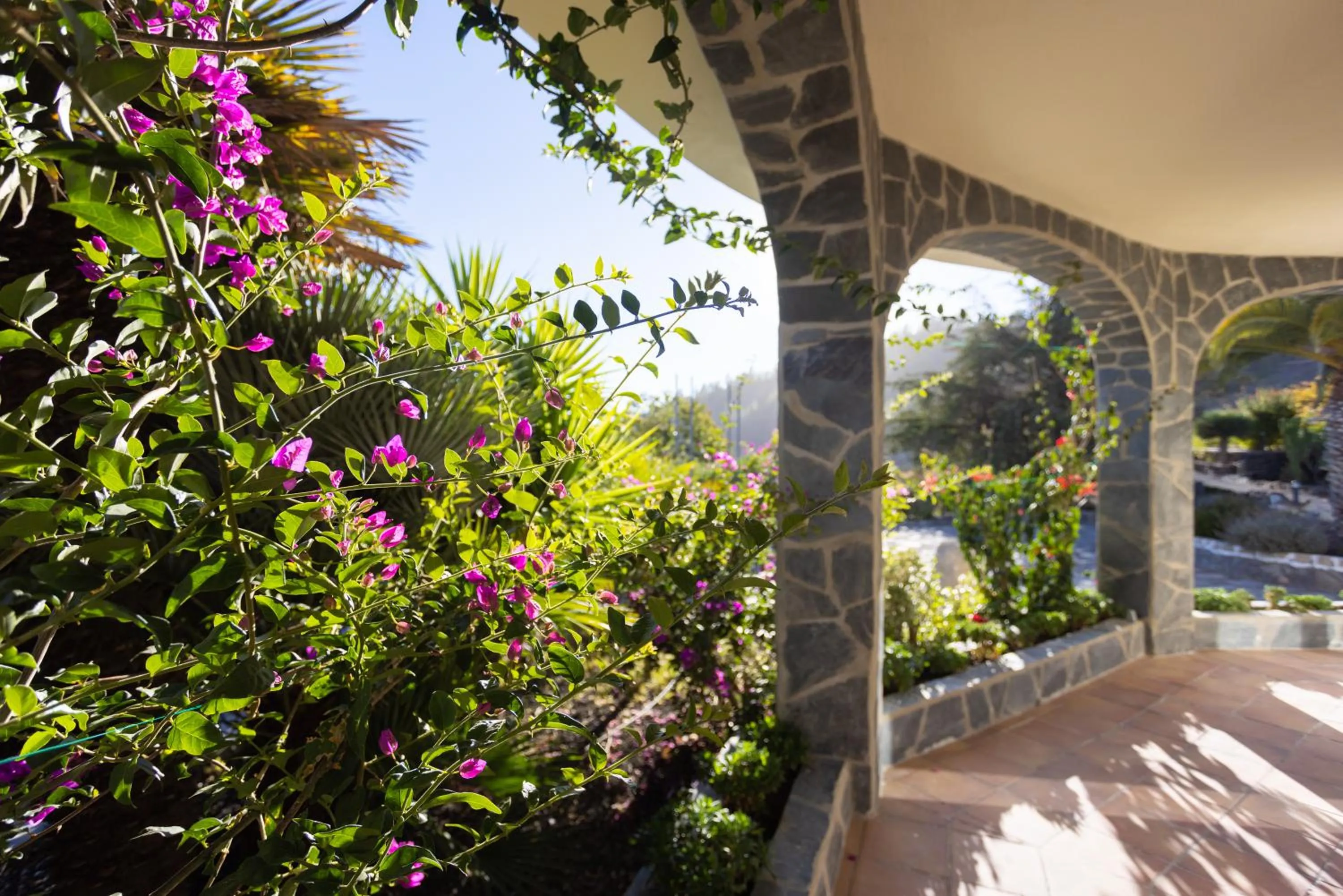 Garden in Hotel Alta Montaña