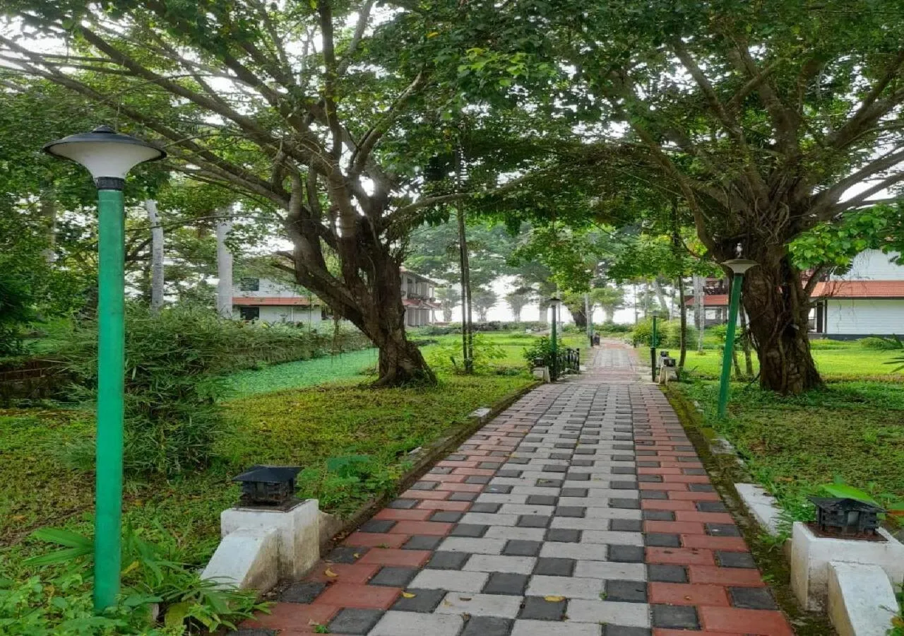 Patio in Doves Goldfieldd Lake Resort