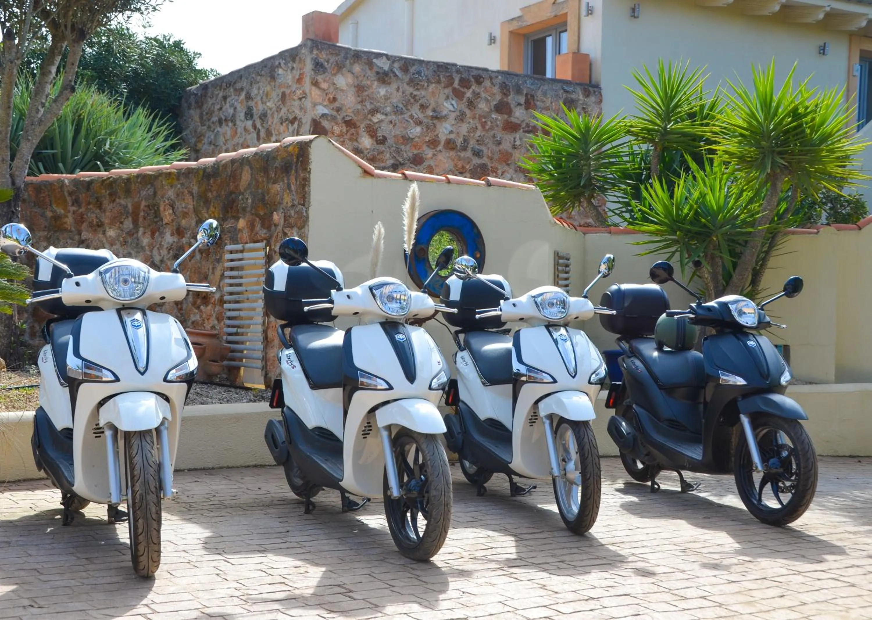 Activities in Finca Amapola - Agrotourismus