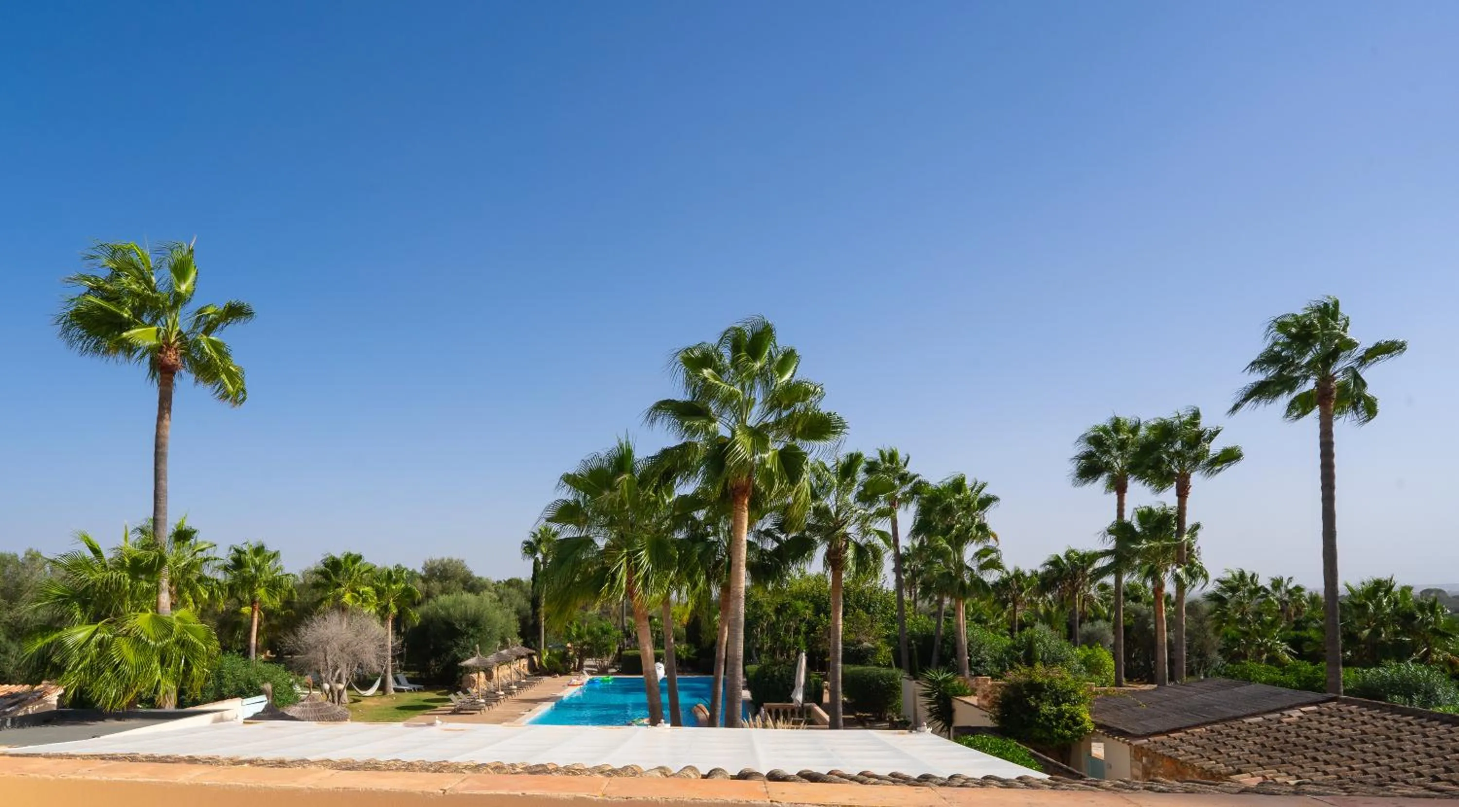 View (from property/room) in Finca Amapola - Agrotourismus