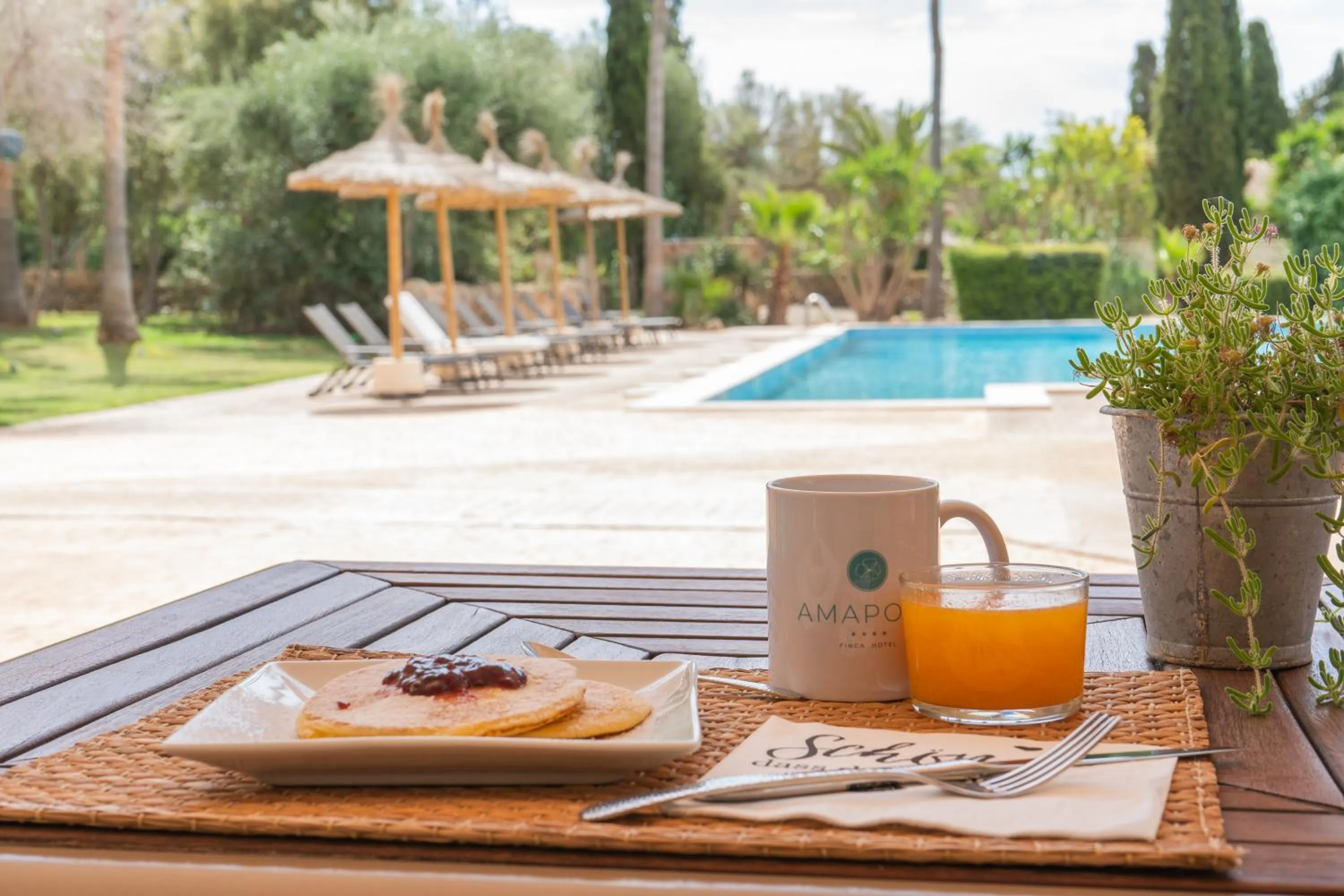 Pool view in Finca Amapola - Agrotourismus