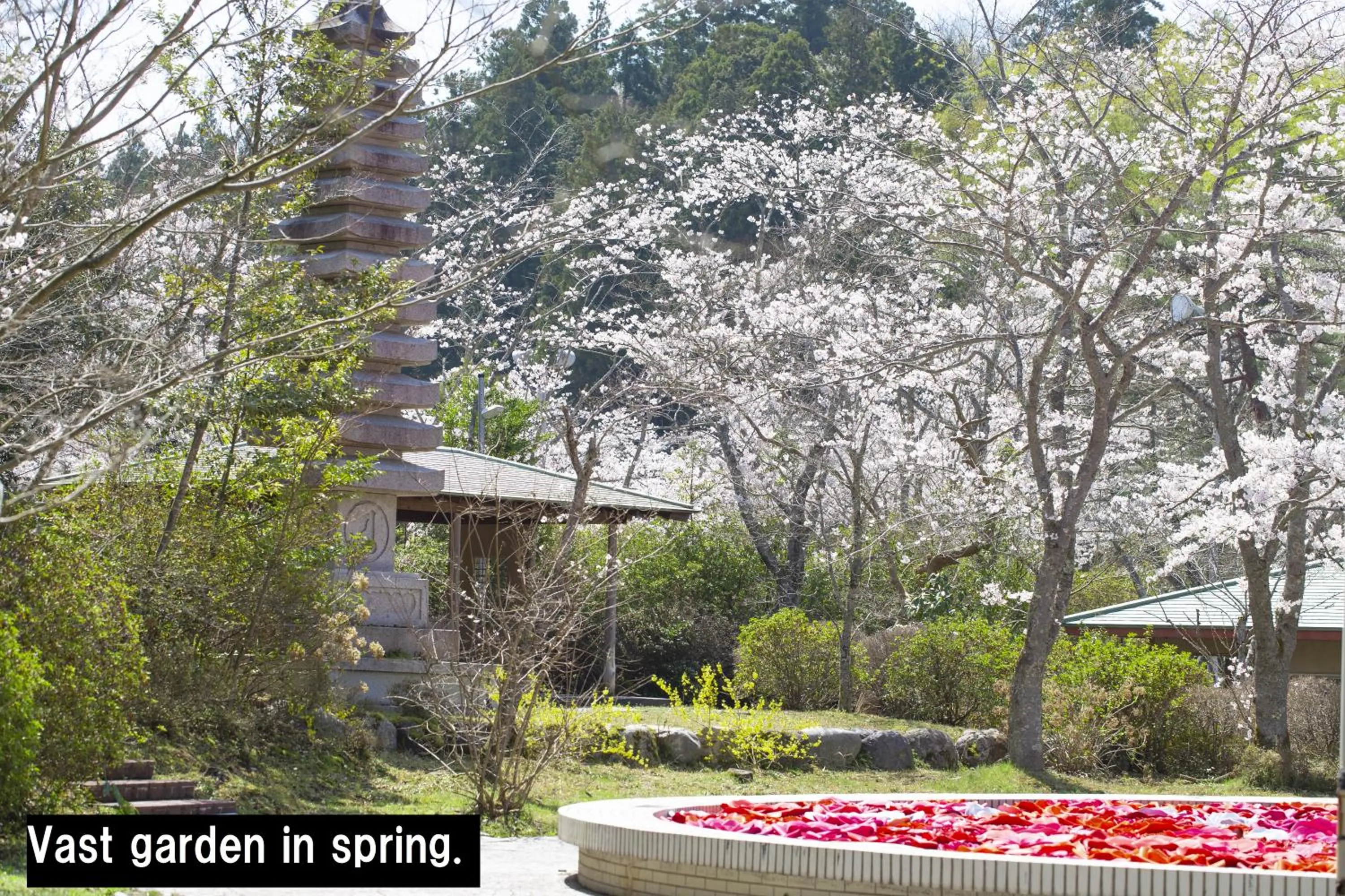 Spring in Manten no Tsujinoya