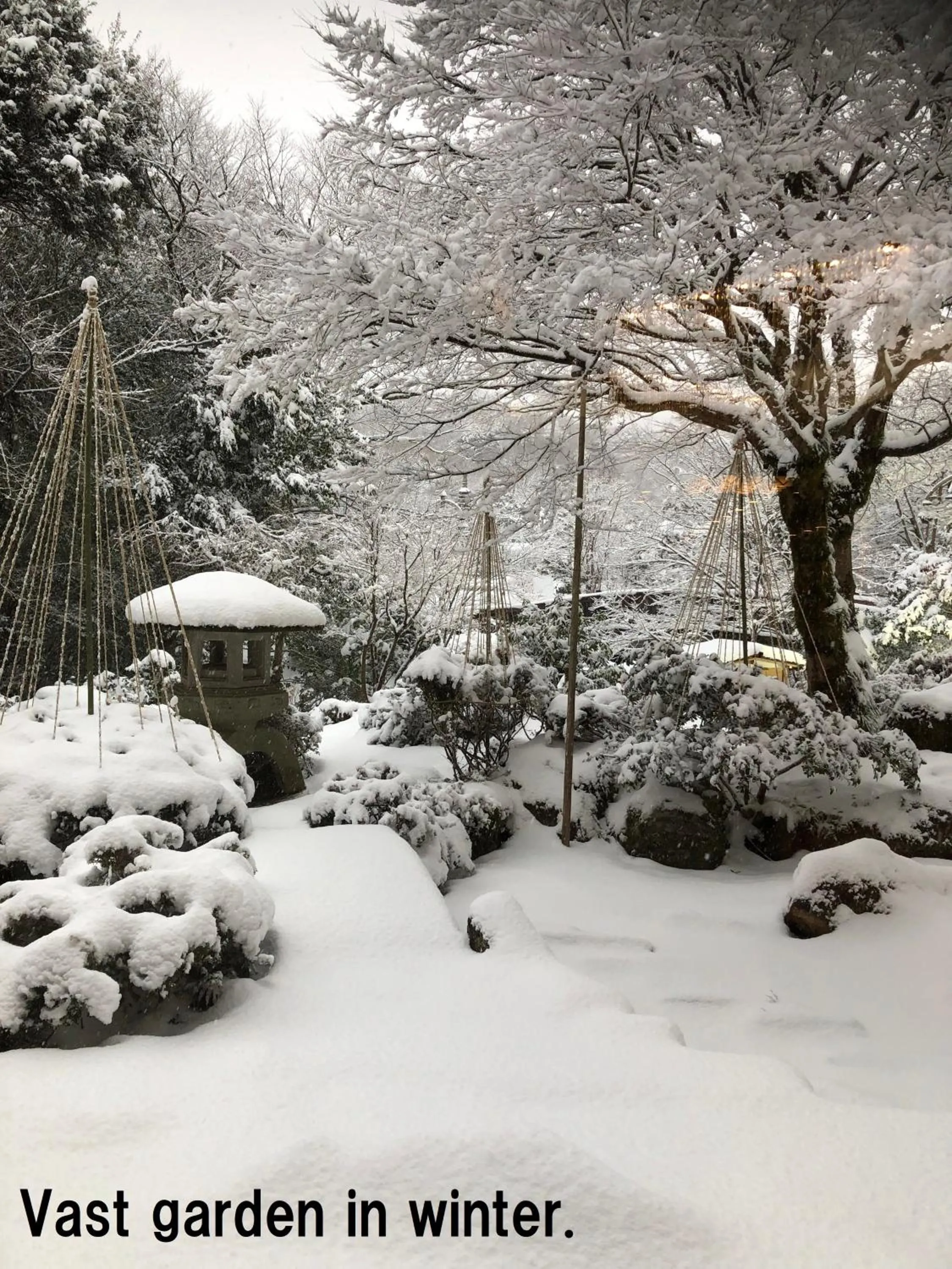 Winter in Manten no Tsujinoya