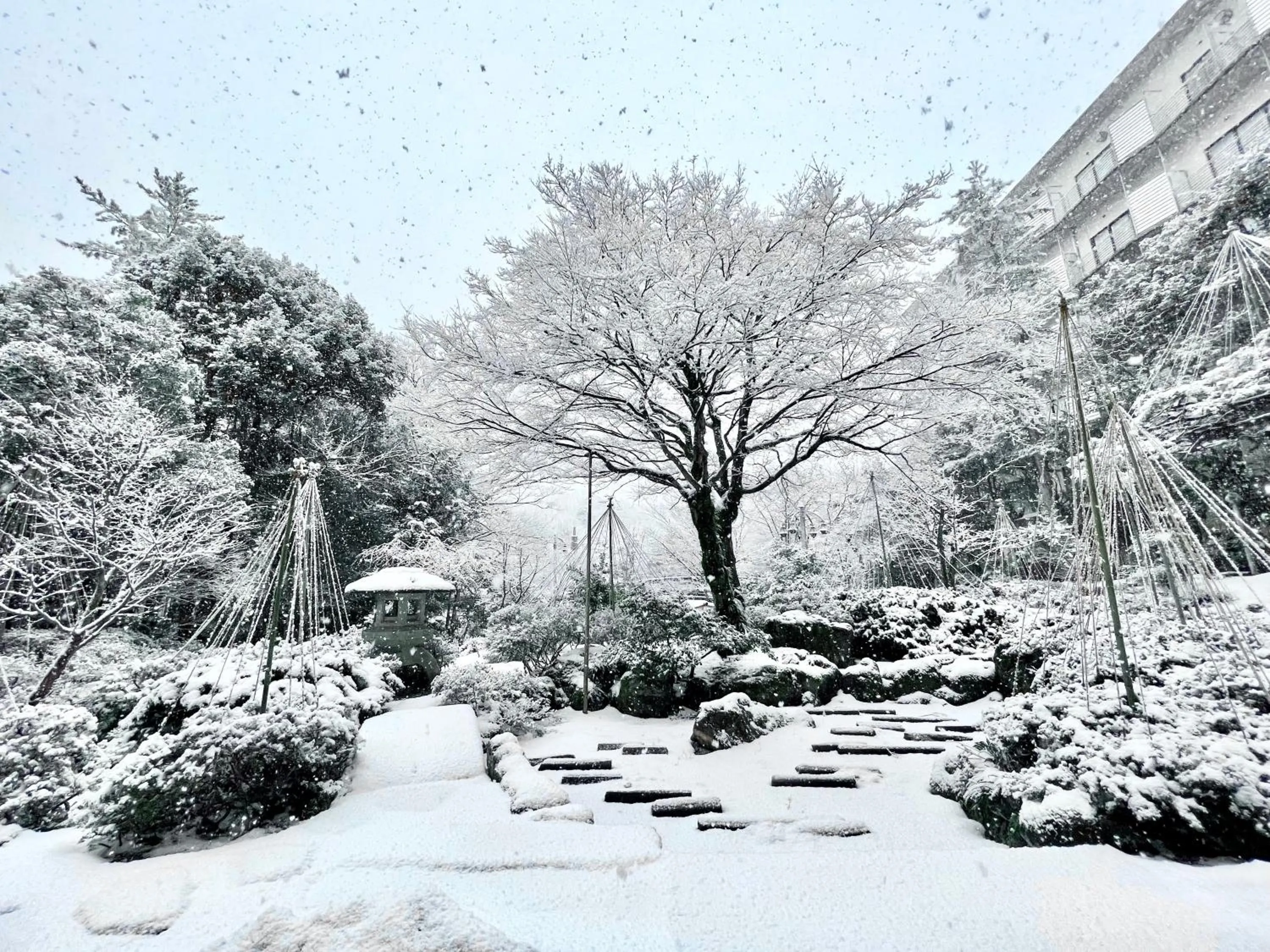 Day in Manten no Tsujinoya