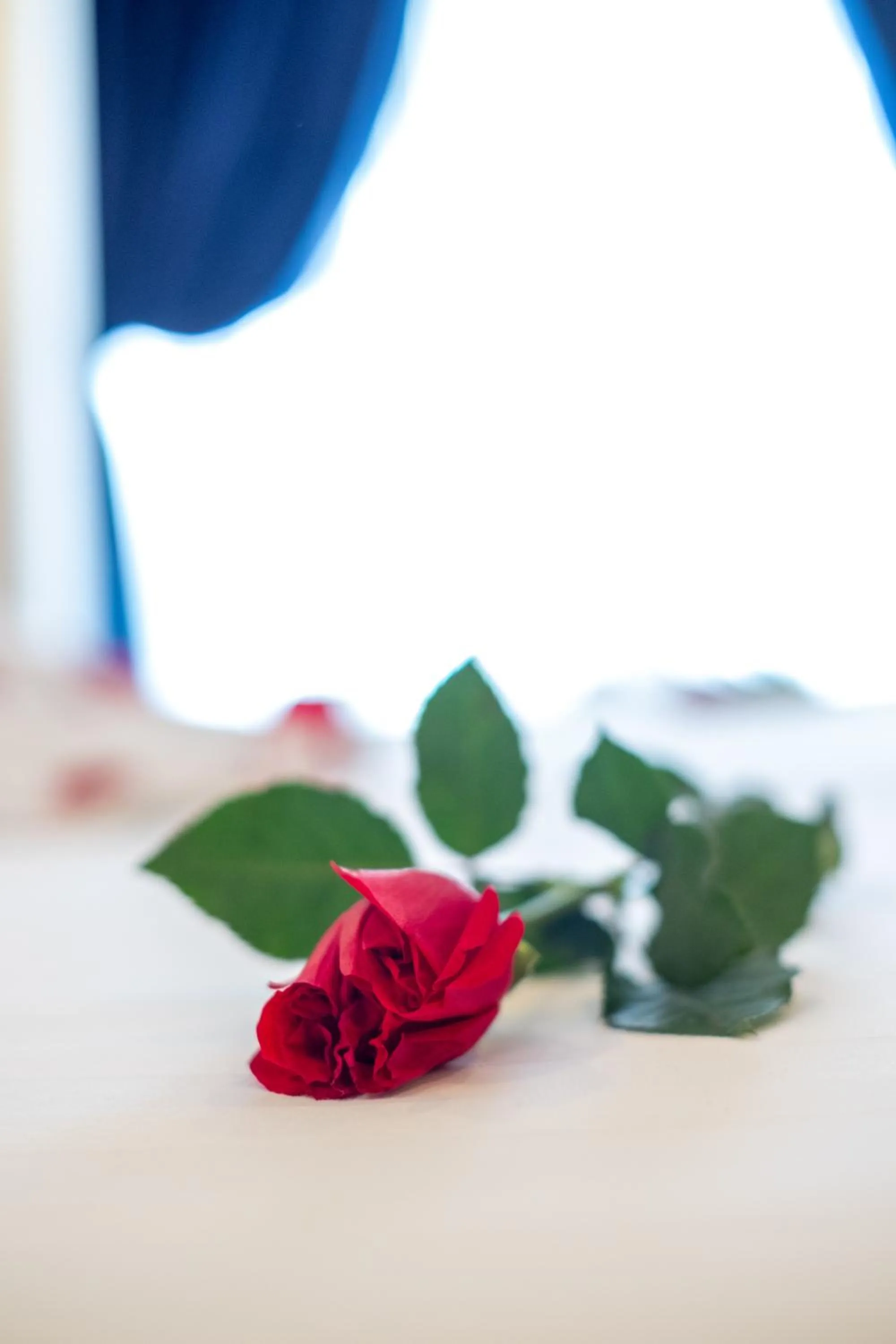 Bedroom in SANDALS FLORA HOTEL