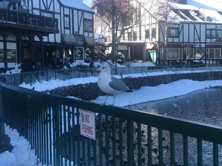 Lake house Cabin - Lake Arrowhead