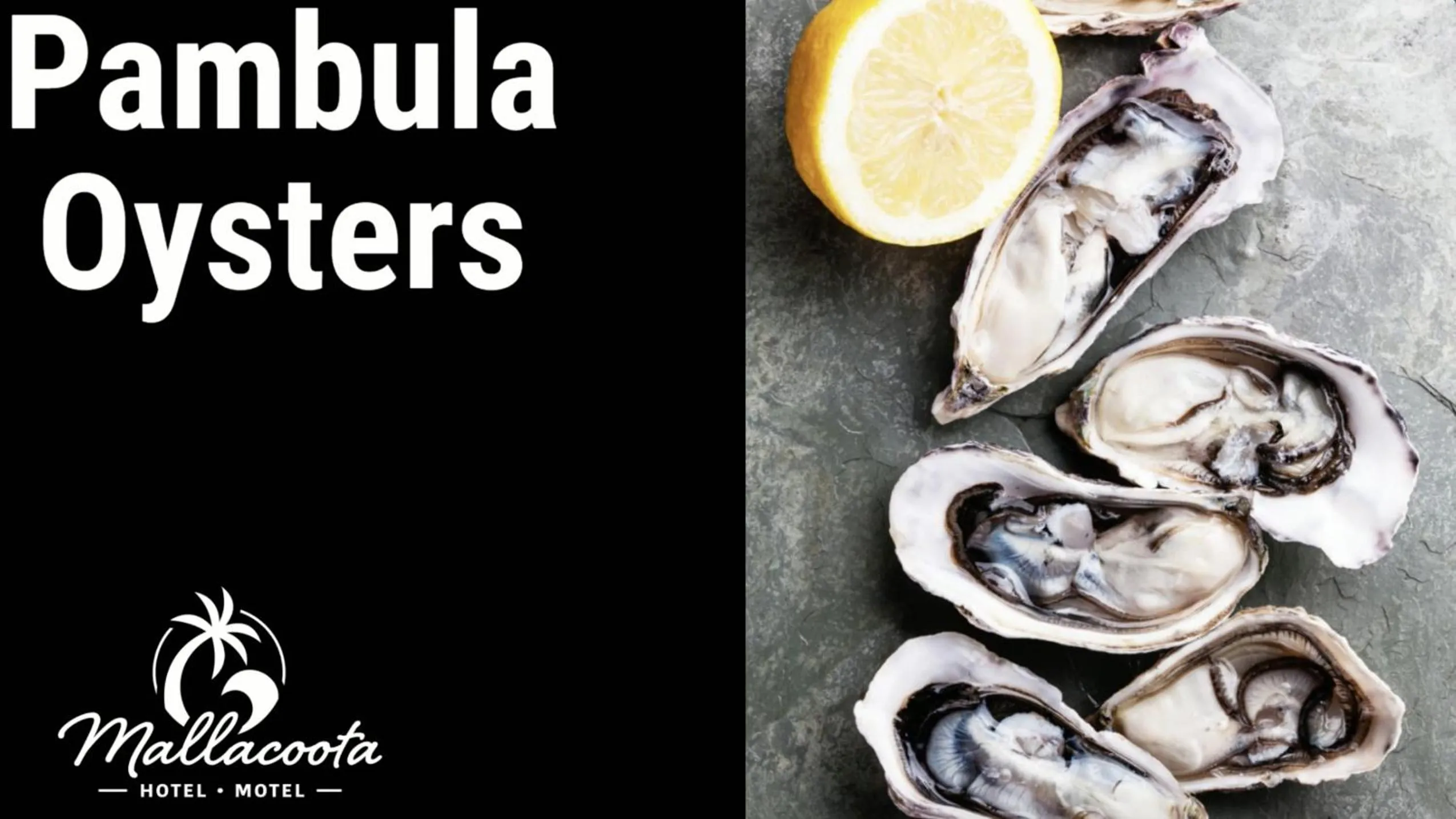 Restaurant/places to eat in Mallacoota Hotel Motel