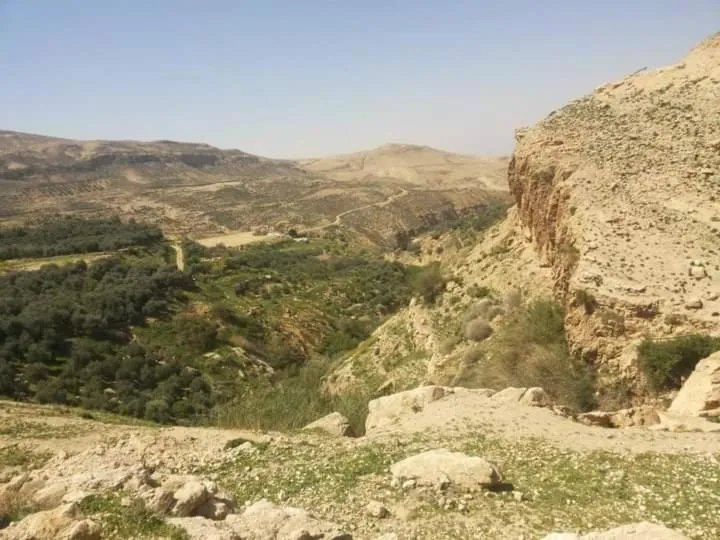 Natural landscape in Aitch Boutique Hotel - an LIH Hotel