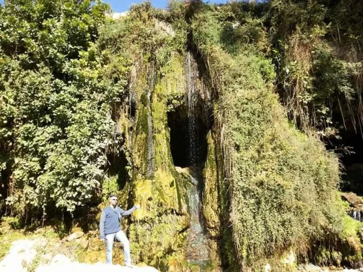 Spring in Aitch Boutique Hotel - an LIH Hotel