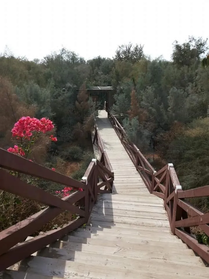 Natural landscape in Aitch Boutique Hotel - an LIH Hotel