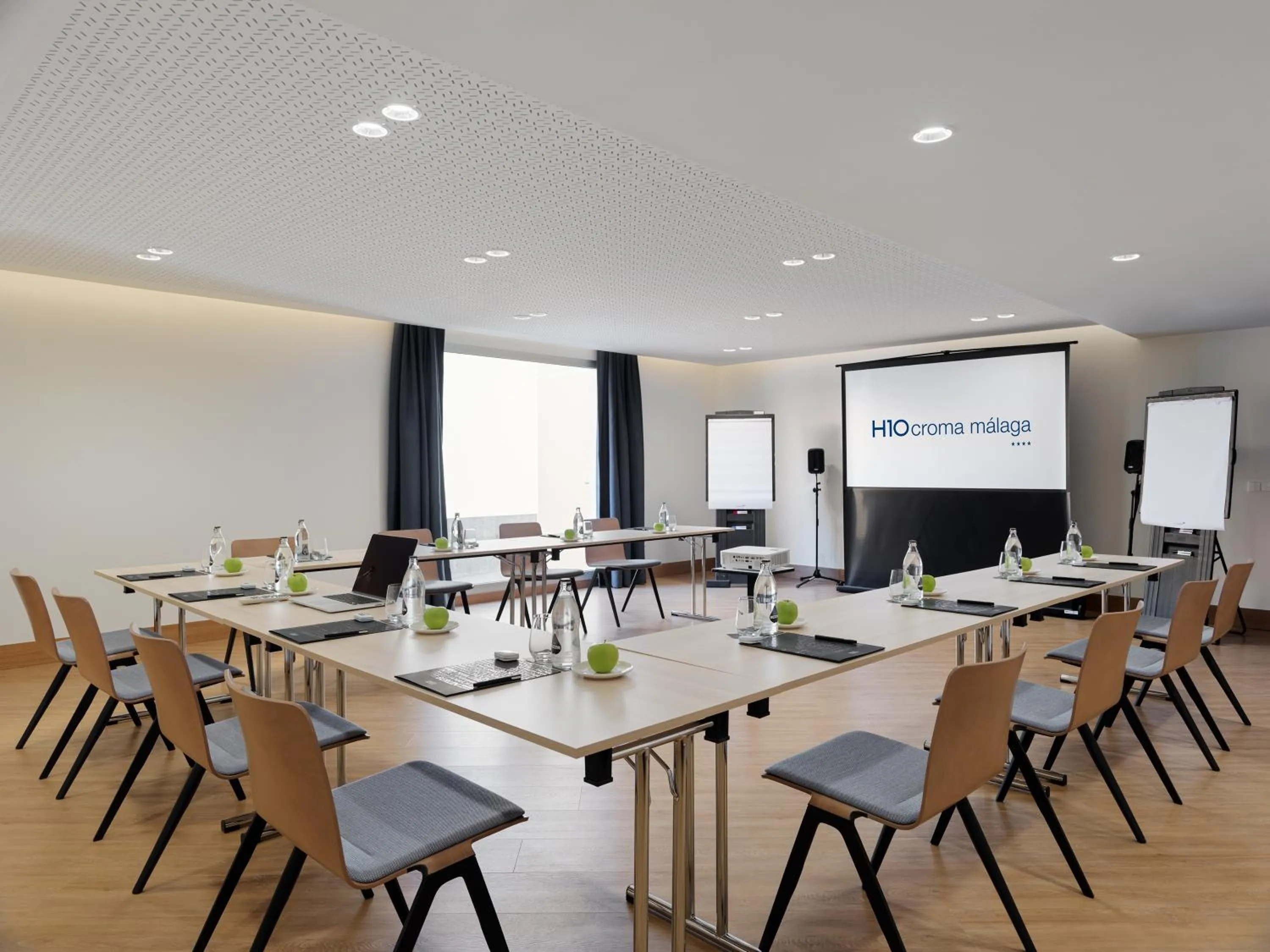 Business facilities in H10 Croma Málaga