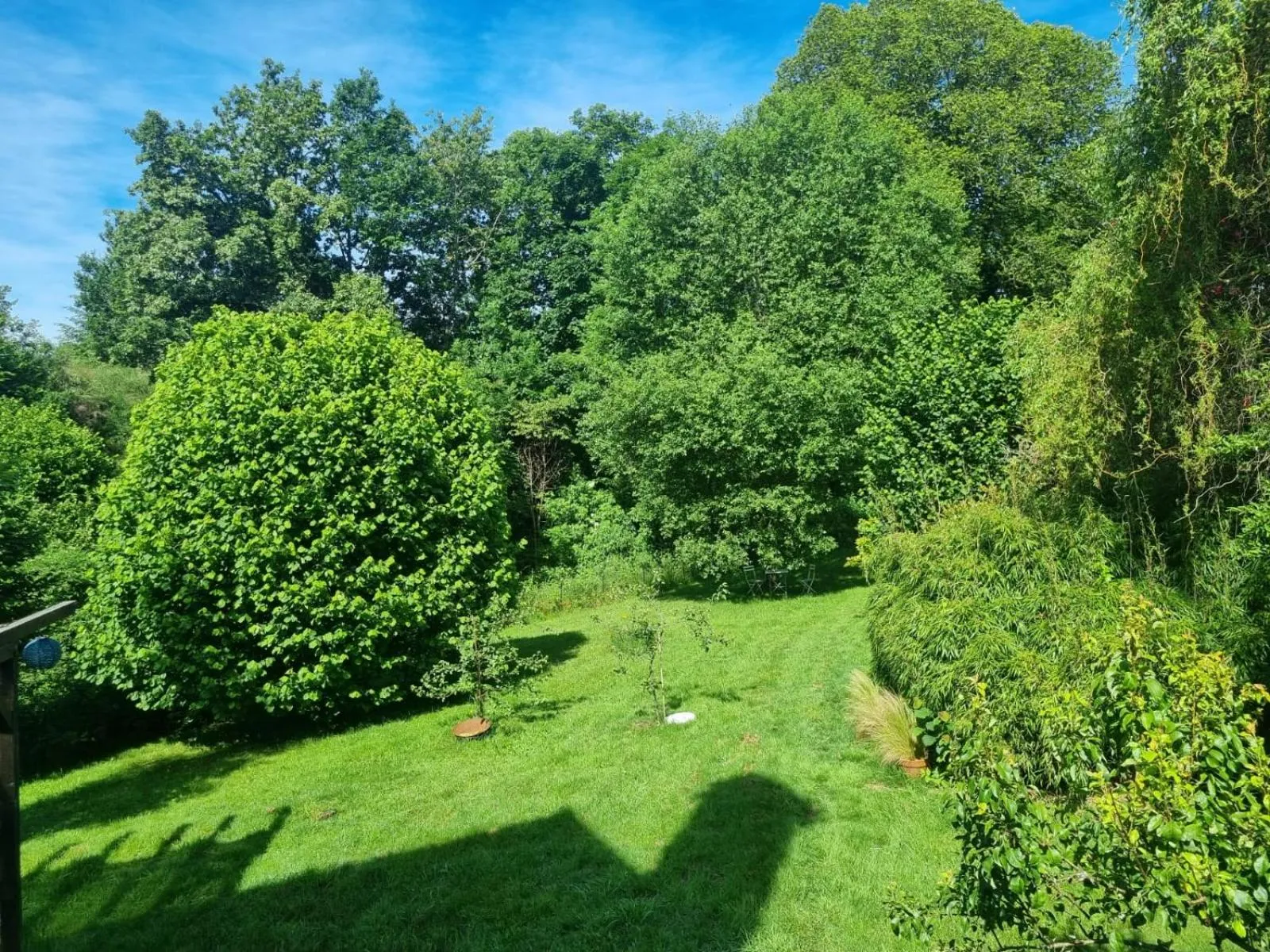 Garden in L'AnciennePoste