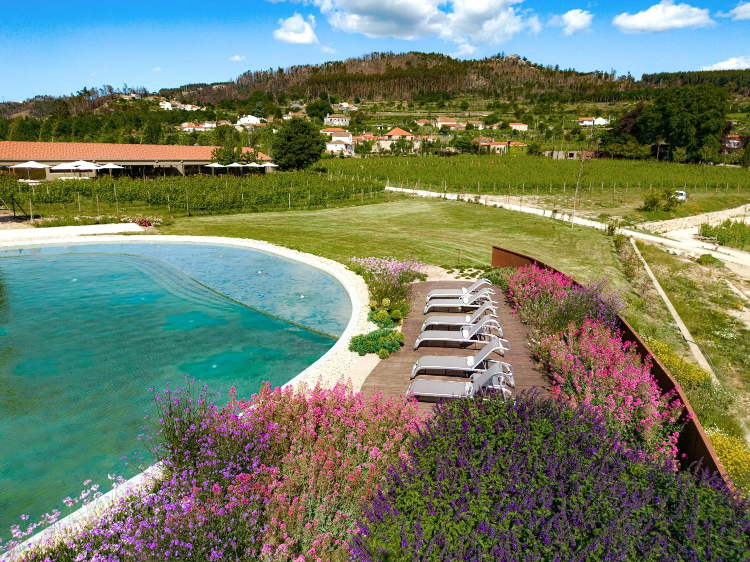 Swimming pool in Lavandeira Douro Nature & Wellness