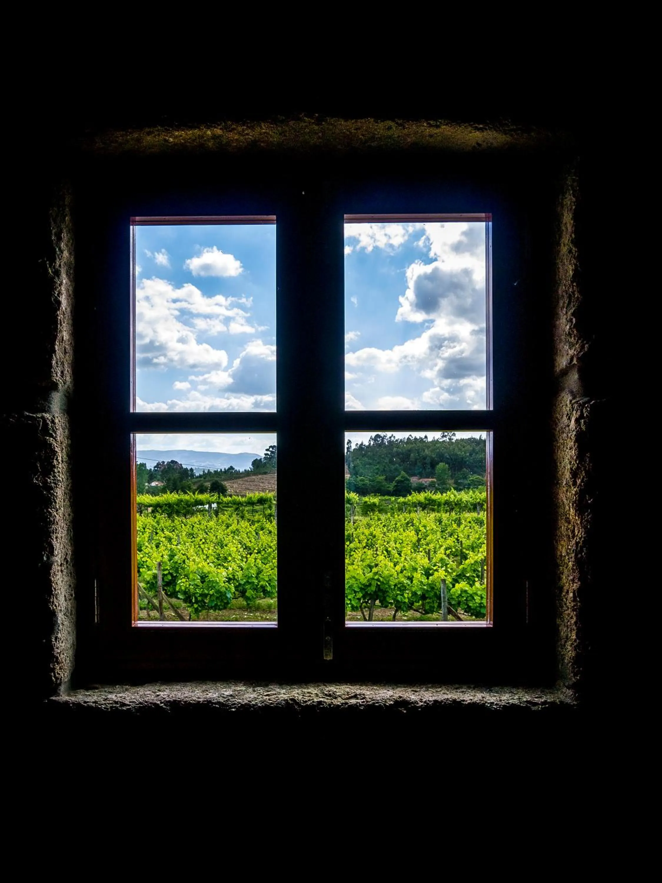 View (from property/room) in Lavandeira Douro Nature & Wellness