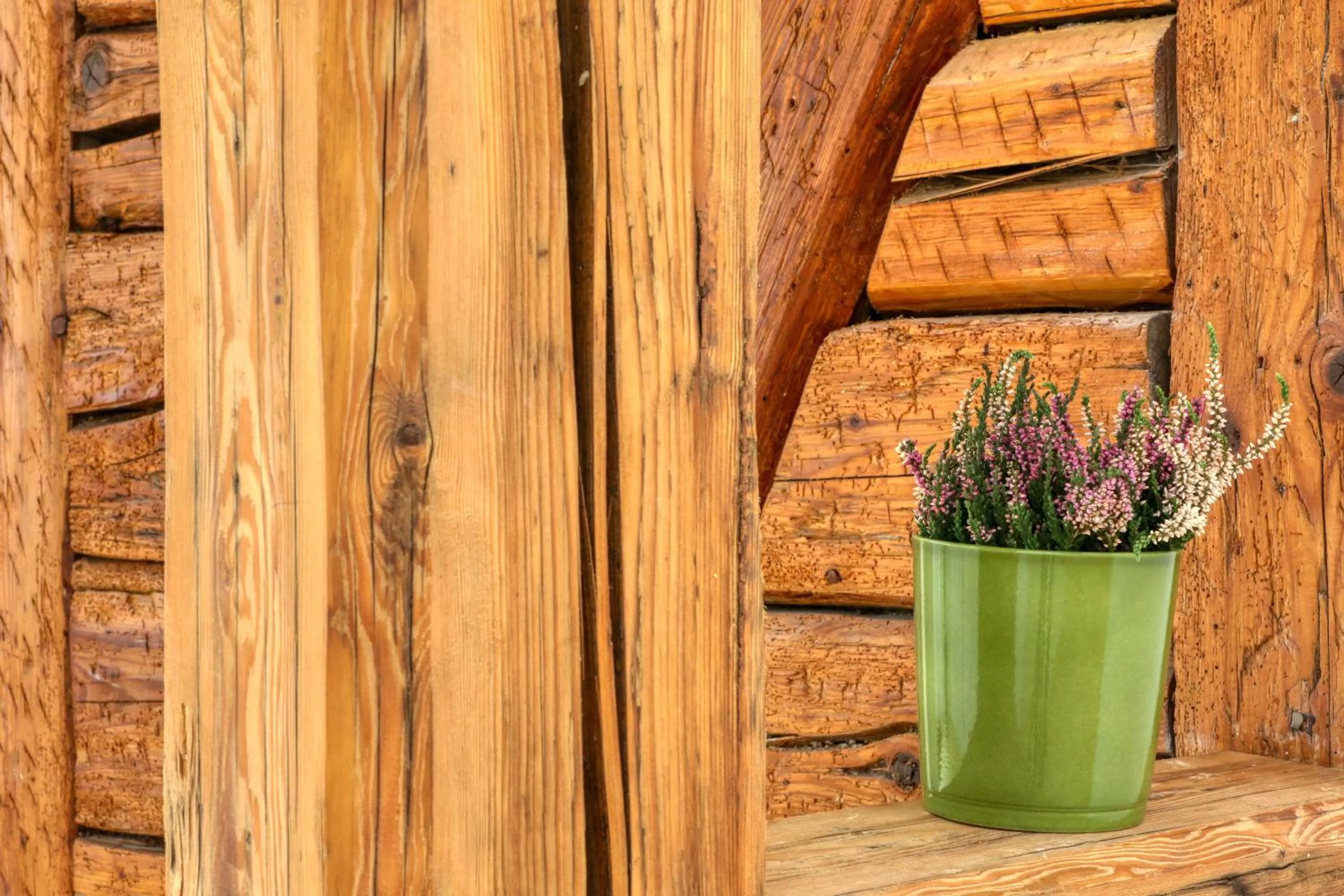 Facade/entrance in Harz-Urlaubs-Alm Hotel & Ferienhäuser