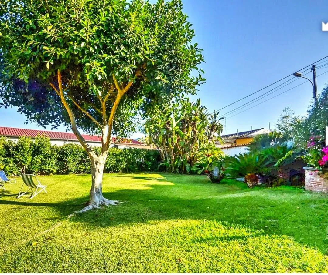 Garden view in B&B La Casa del Ficus