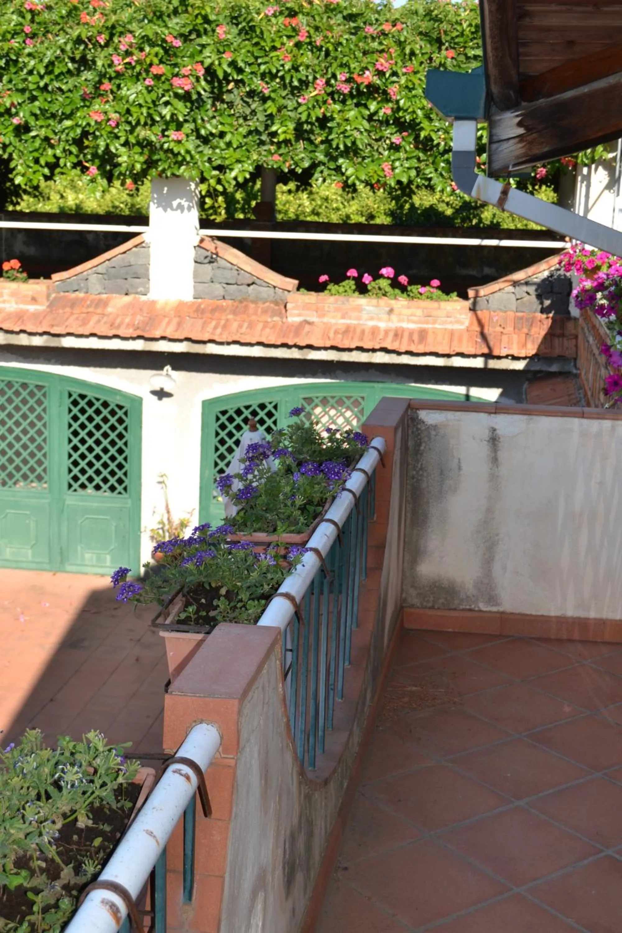 Balcony/Terrace in B&B La Casa del Ficus