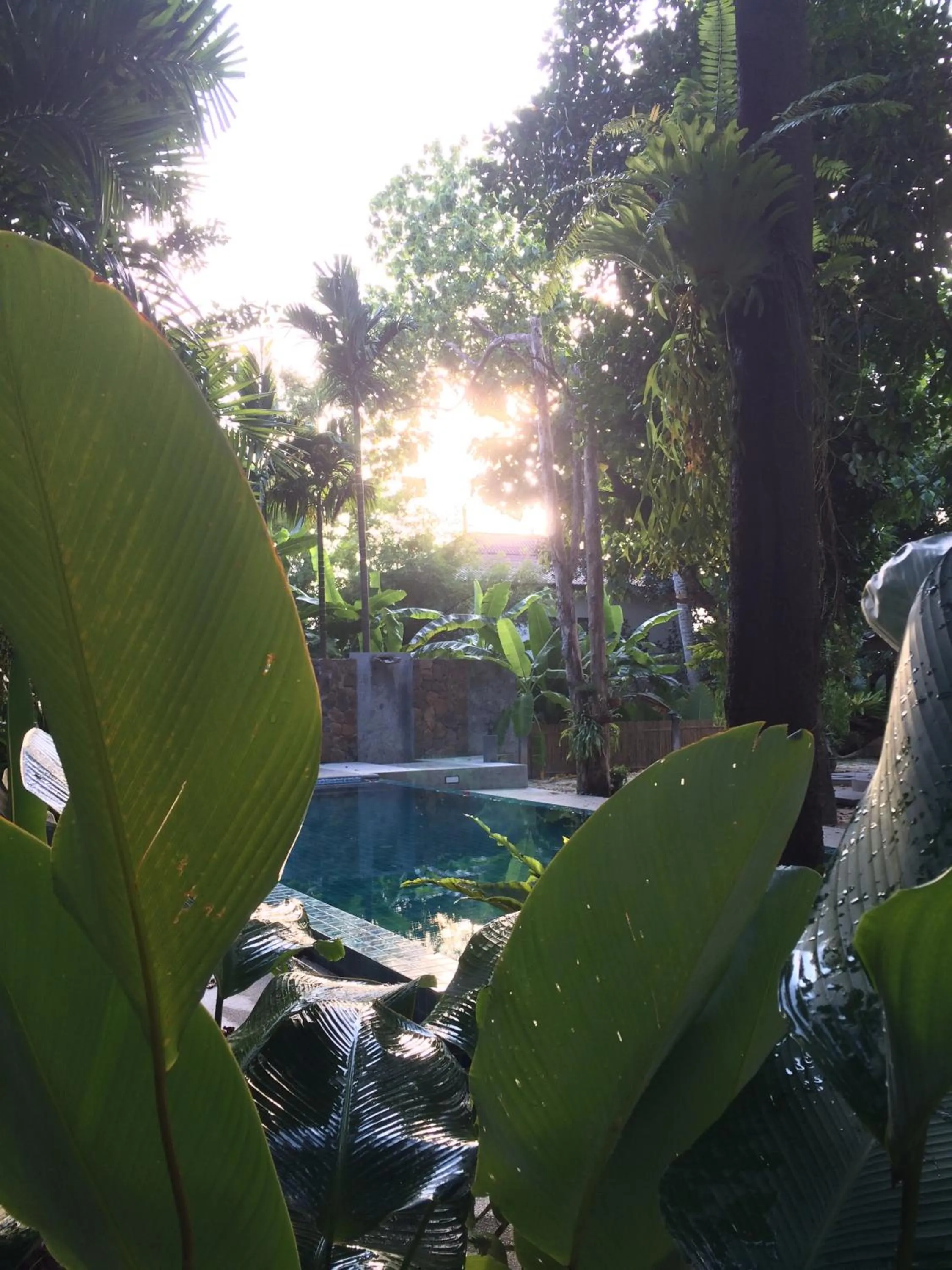 Swimming pool in Fern House Retreat