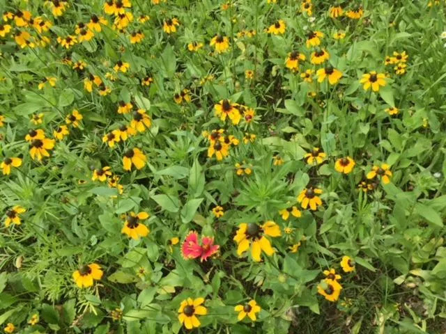 View (from property/room) in Oak Grove Bed and Breakfast