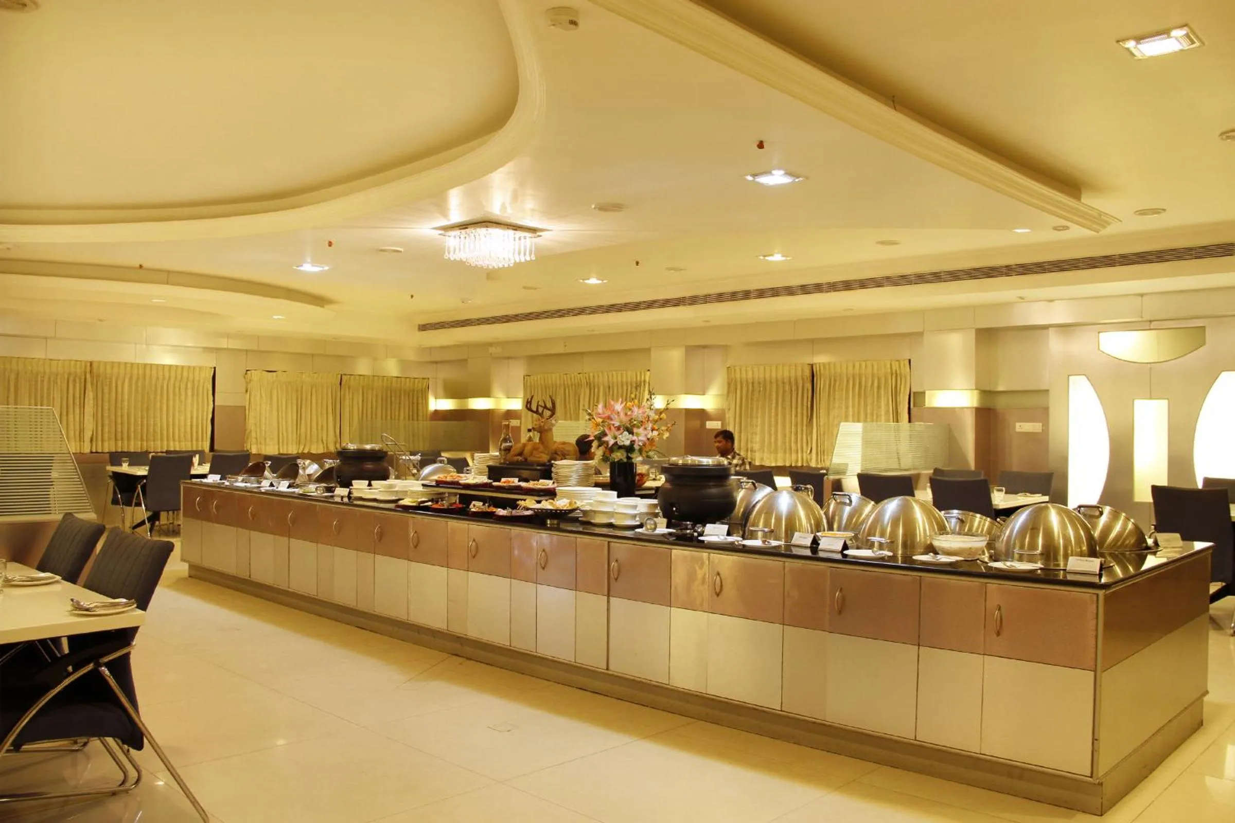 Restaurant/places to eat in Hotel DSF Grand Plaza