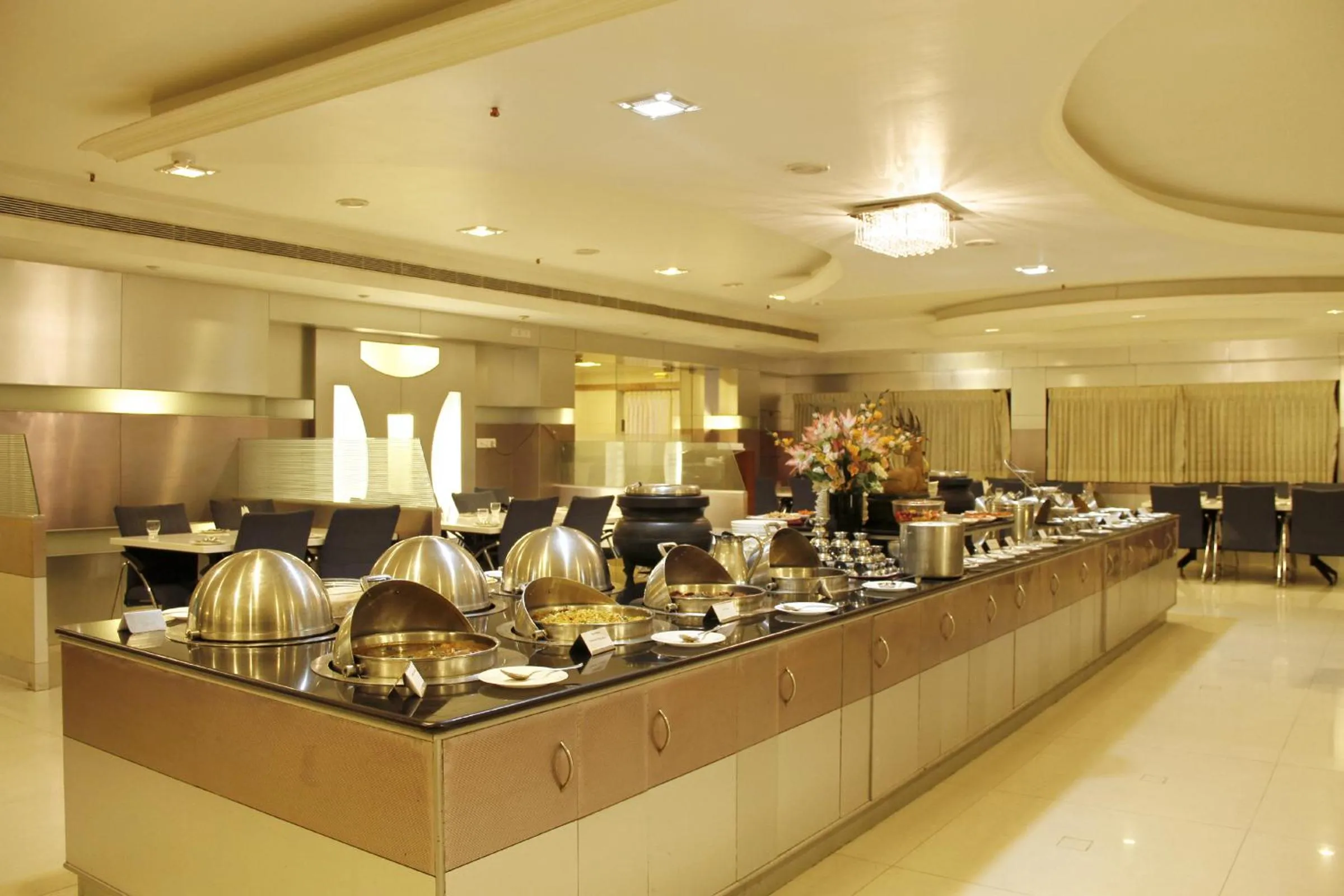 Restaurant/places to eat in Hotel DSF Grand Plaza