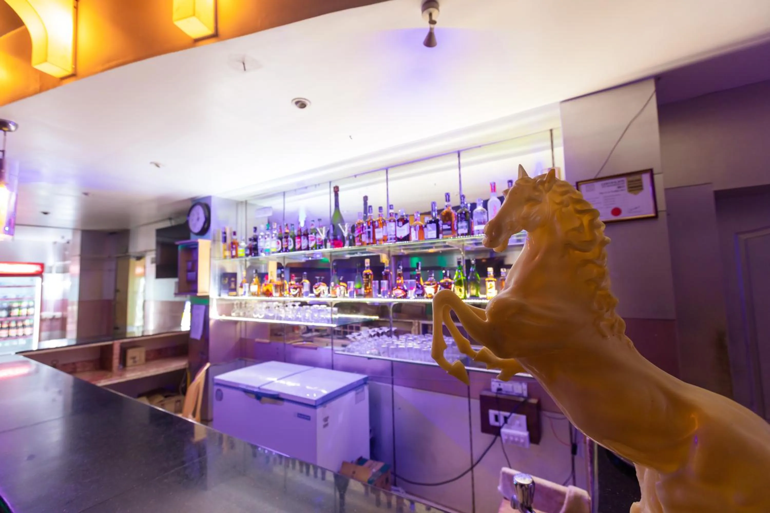 Hotel DSF Grand Plaza